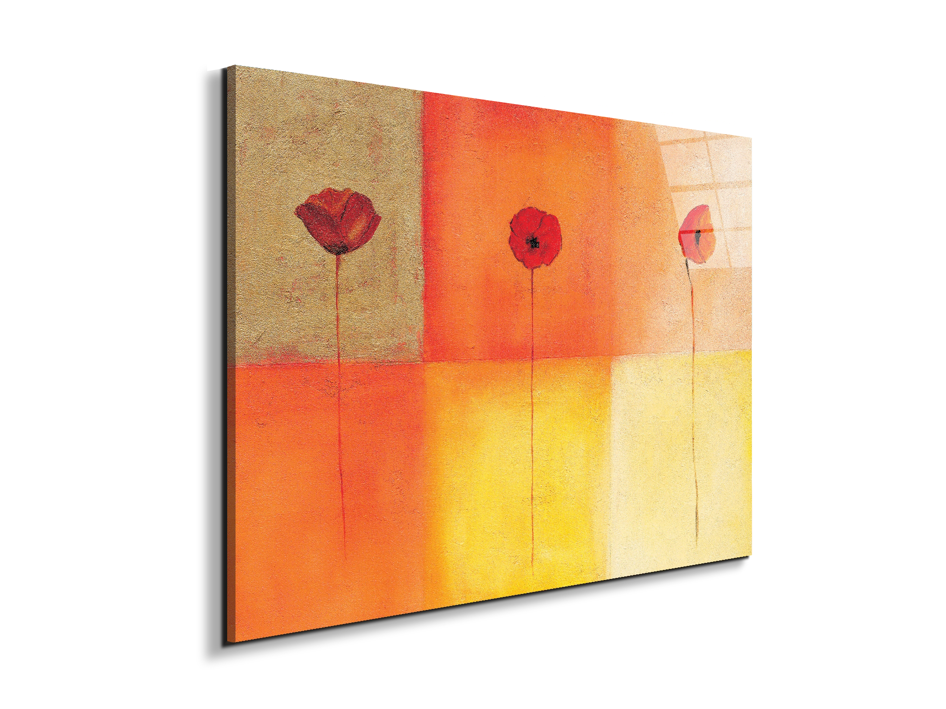 poppies-squaresec20430-