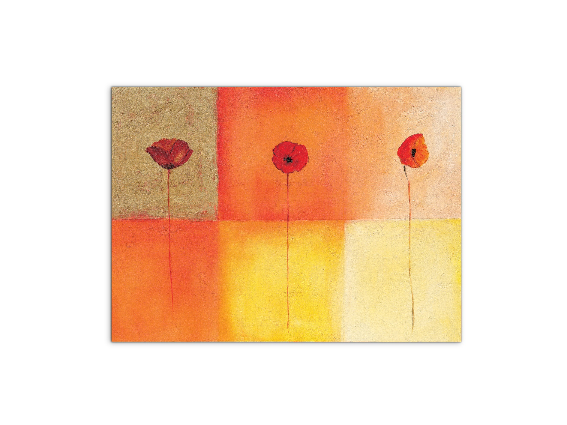 poppies-squaresec20430-