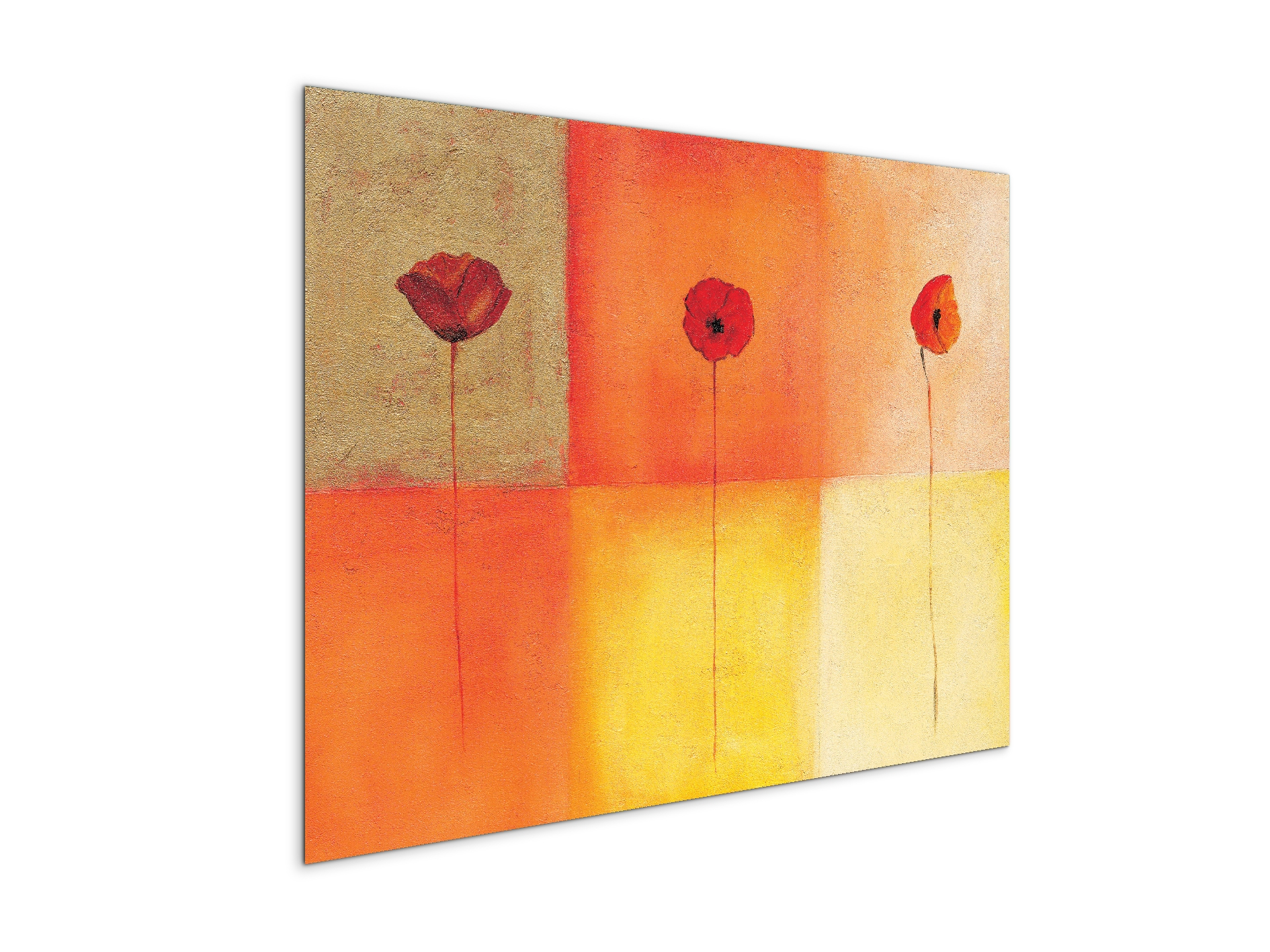 poppies-squaresec20430-