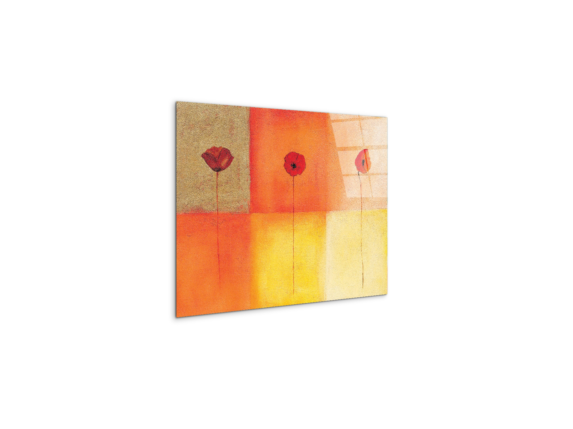 poppies-squaresec20430-