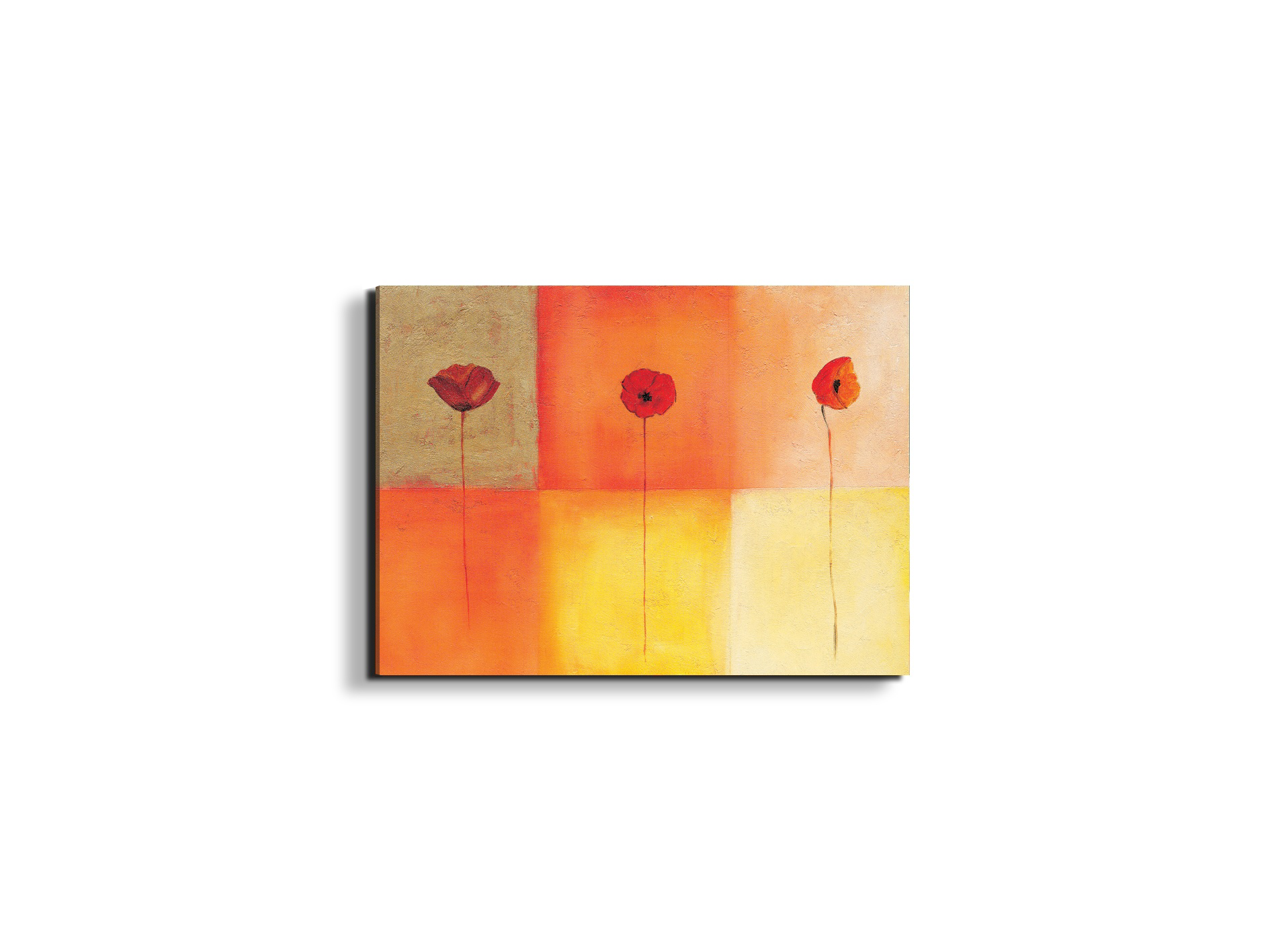 poppies-squaresec20430-