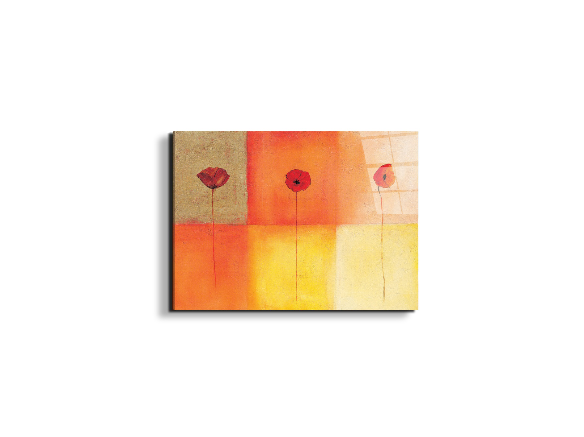 poppies-squaresec20430-