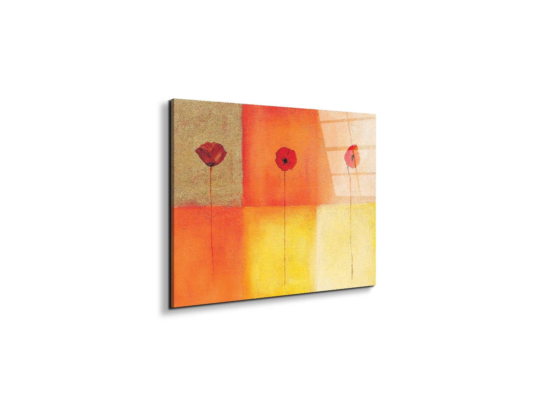 poppies-squaresec20430-