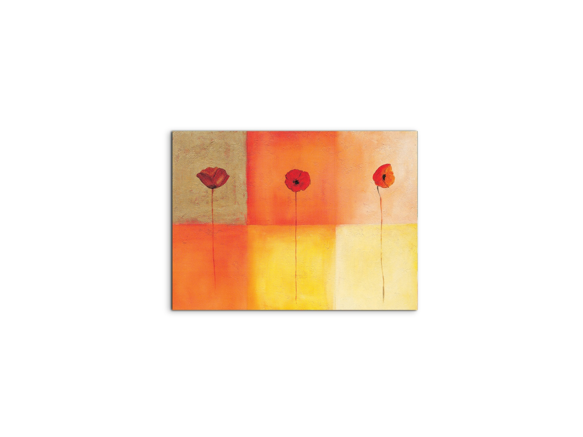 poppies-squaresec20430-