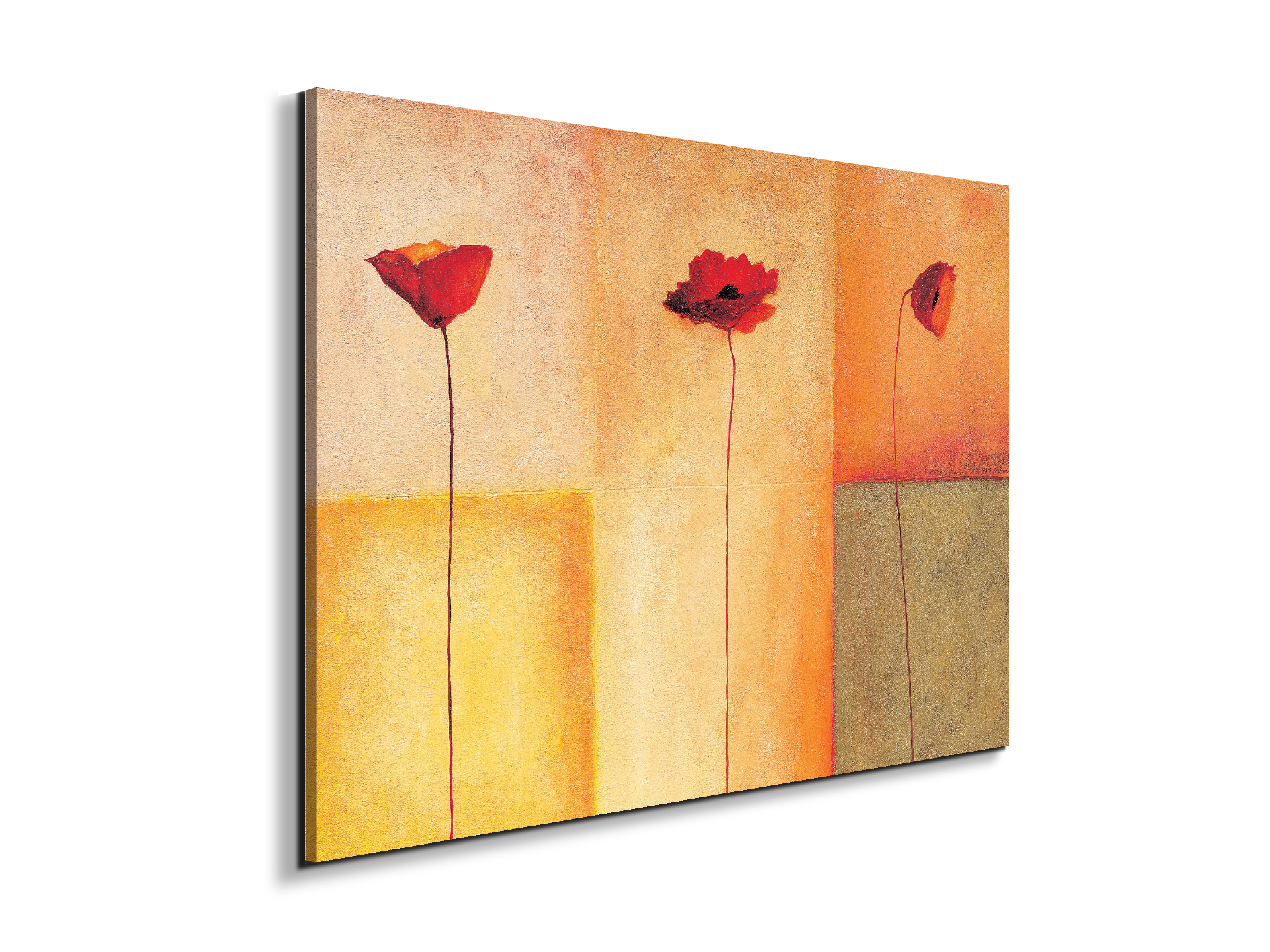 poppies-lifeec20431-