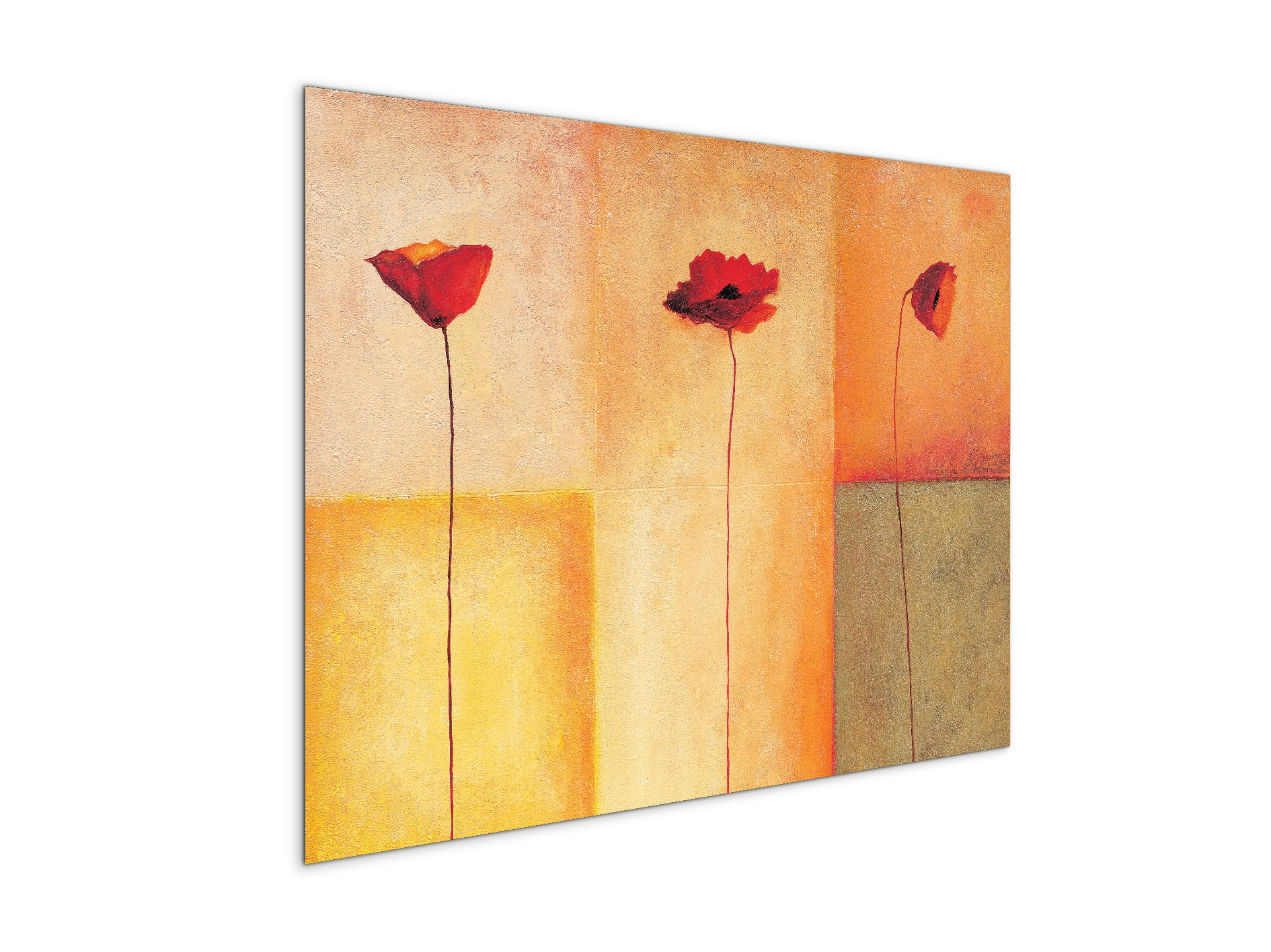 poppies-lifeec20431-