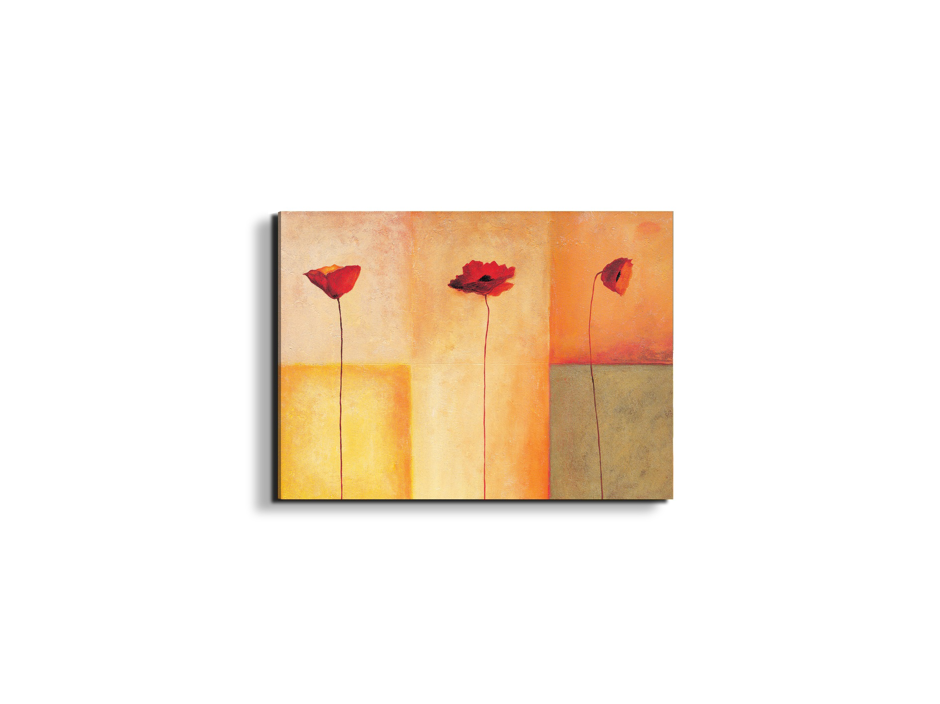 poppies-lifeec20431-