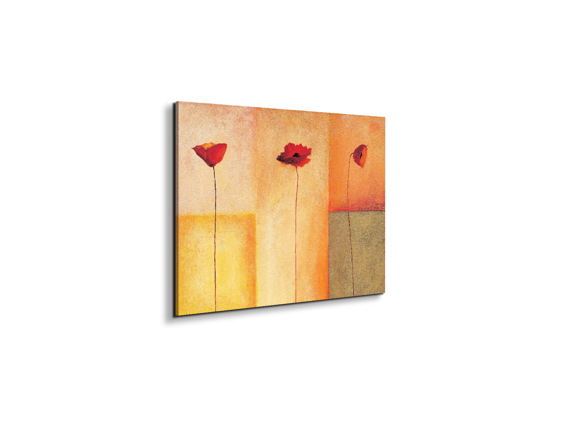 poppies-lifeec20431-