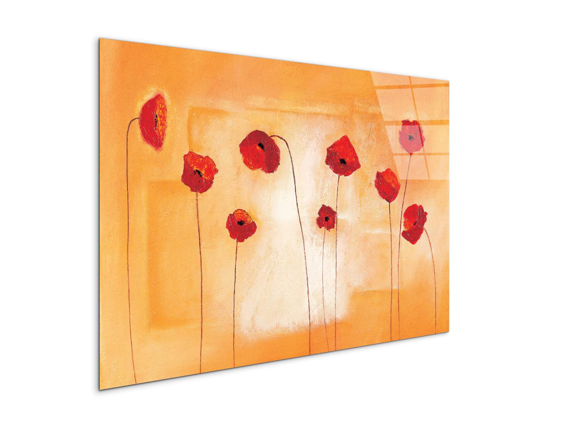 red-poppies-ivec20434-