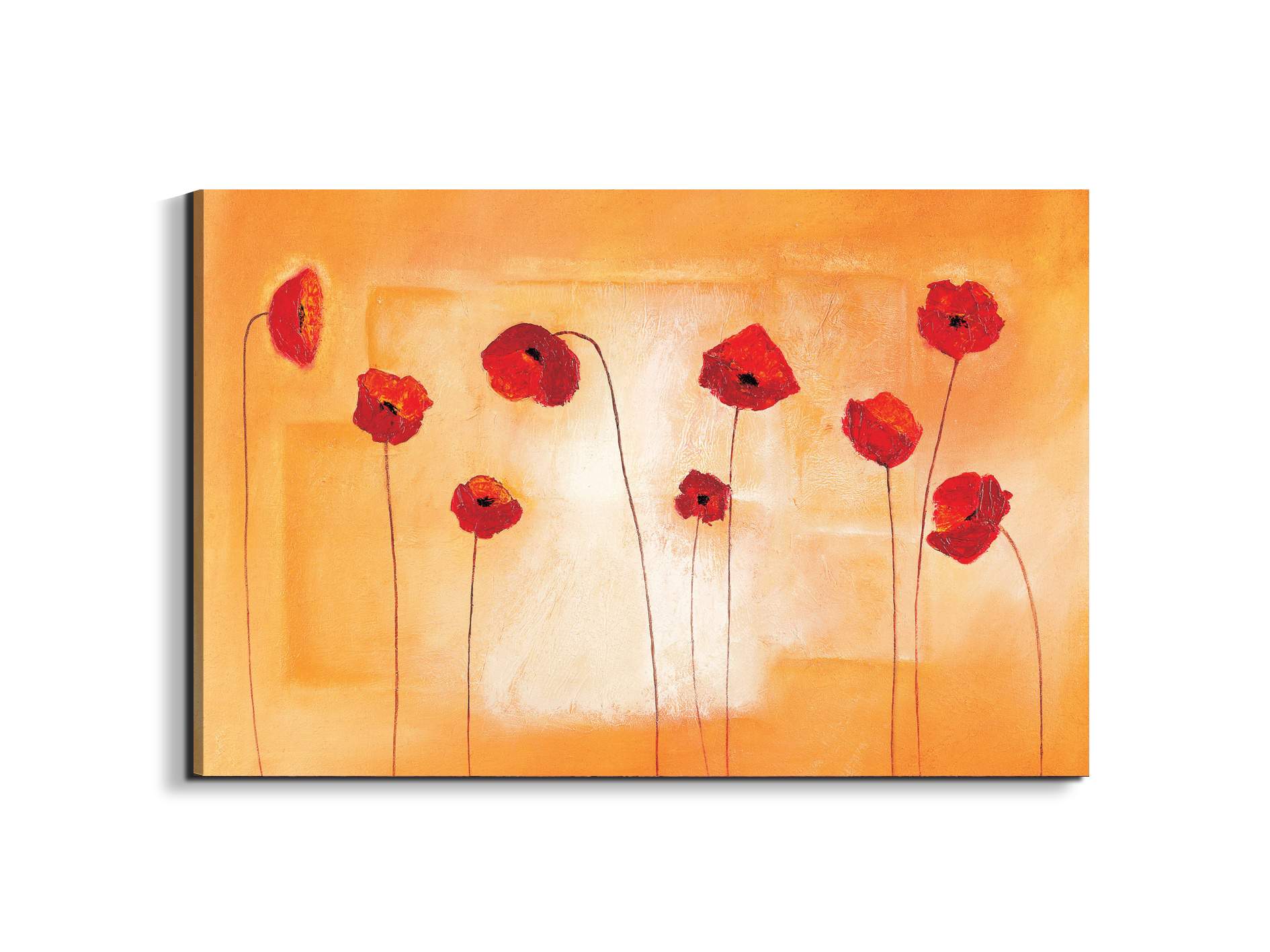 red-poppies-ivec20434-