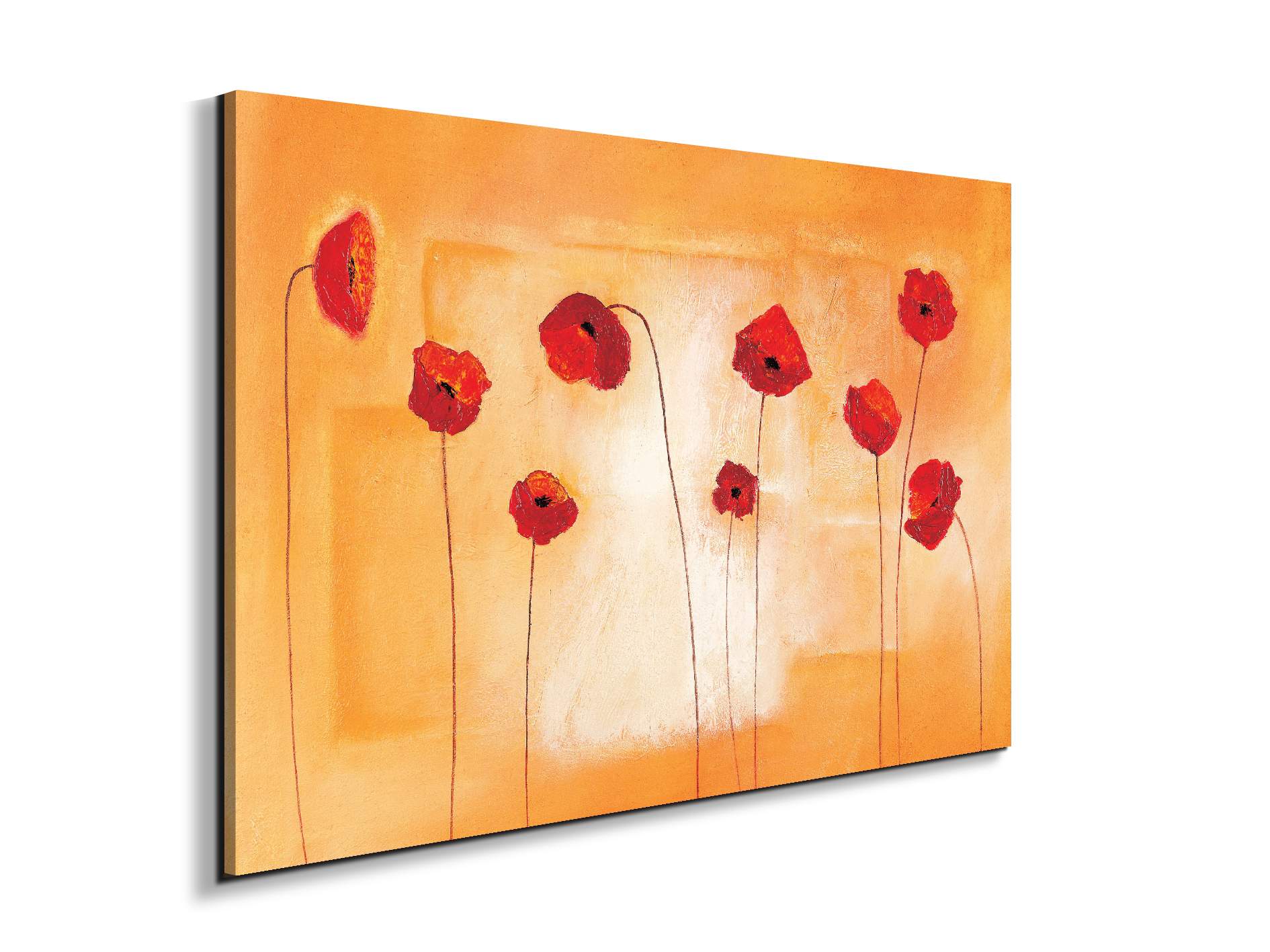red-poppies-ivec20434-