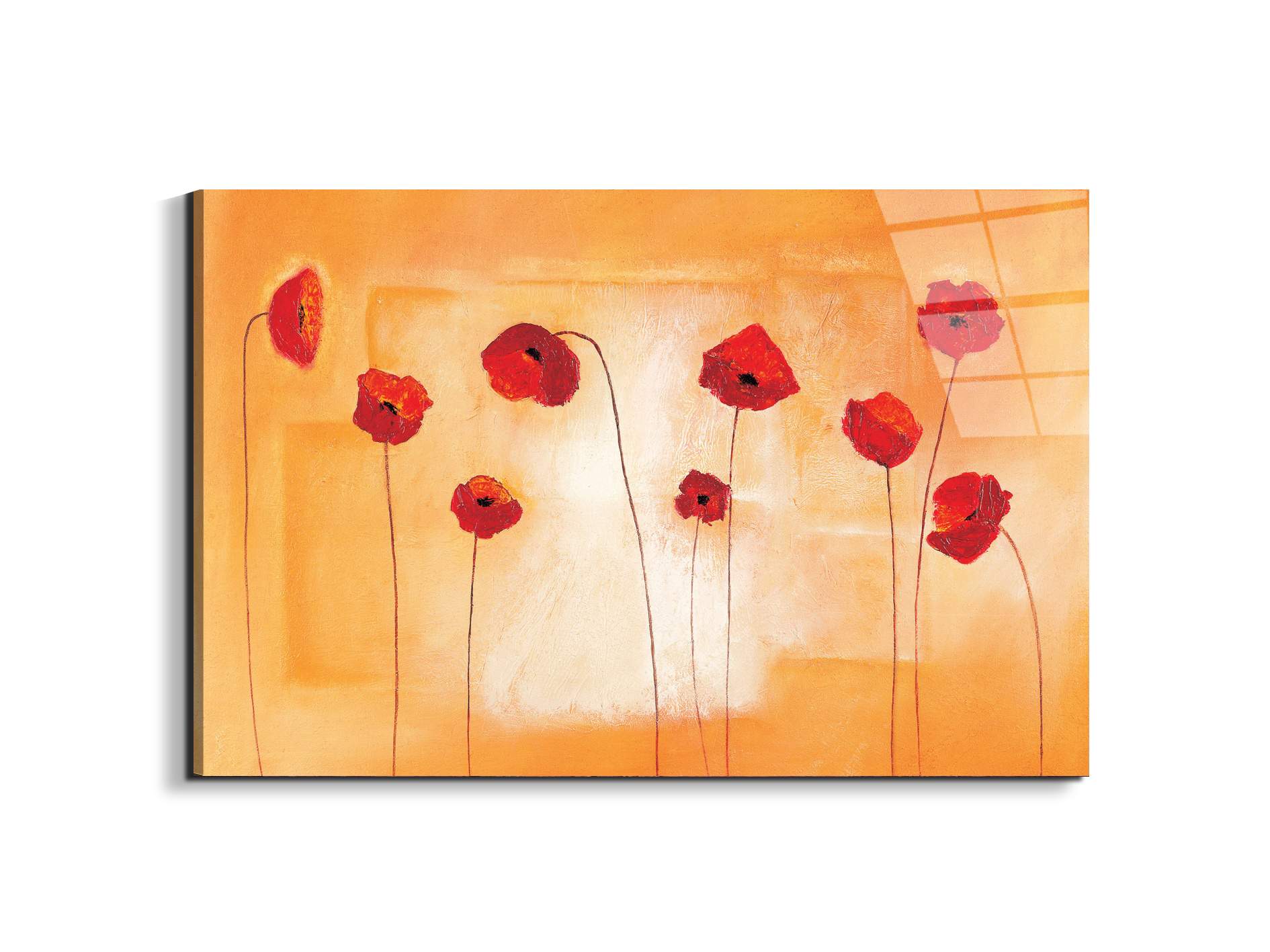 red-poppies-ivec20434-
