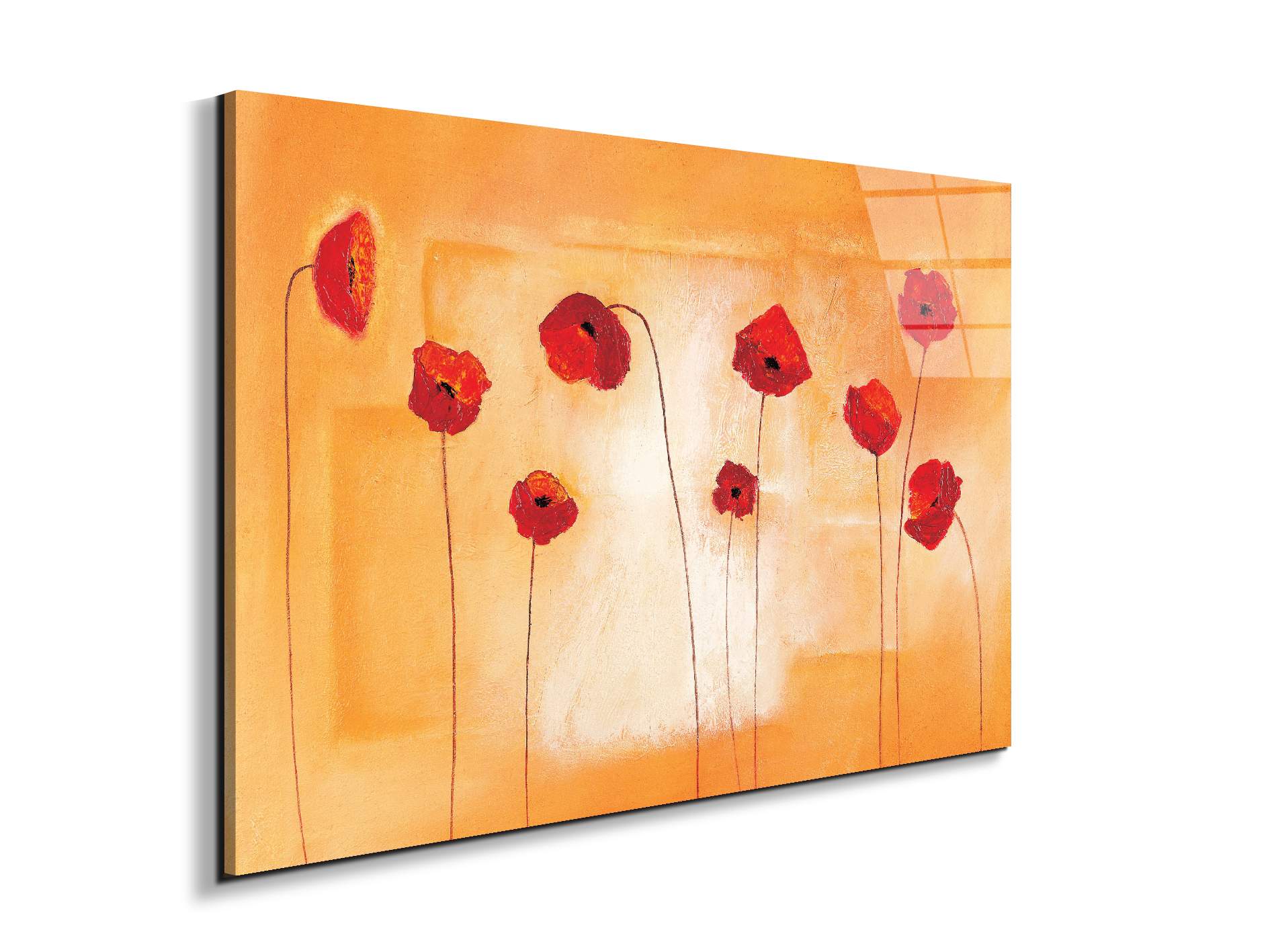 red-poppies-ivec20434-