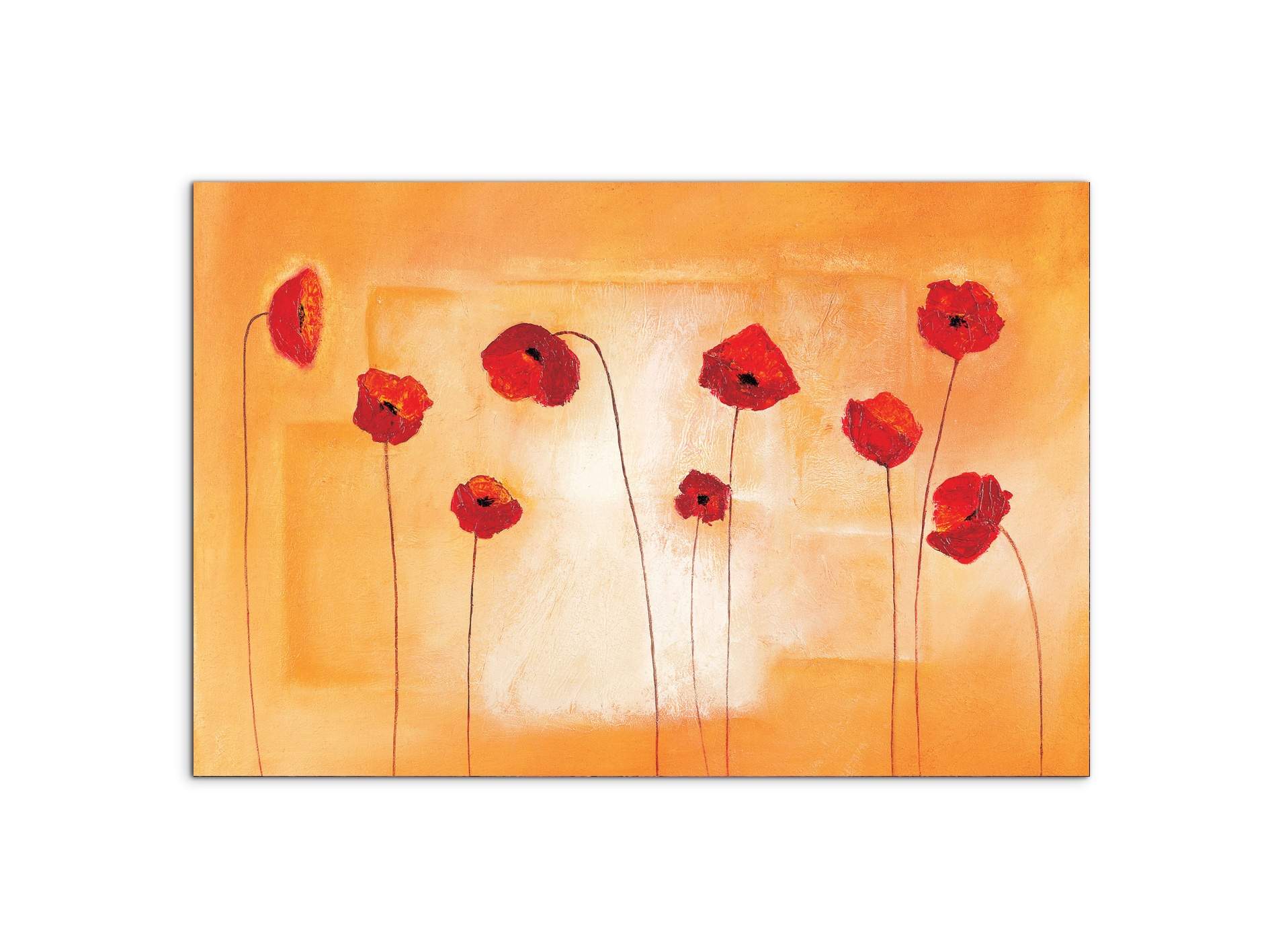 red-poppies-ivec20434-