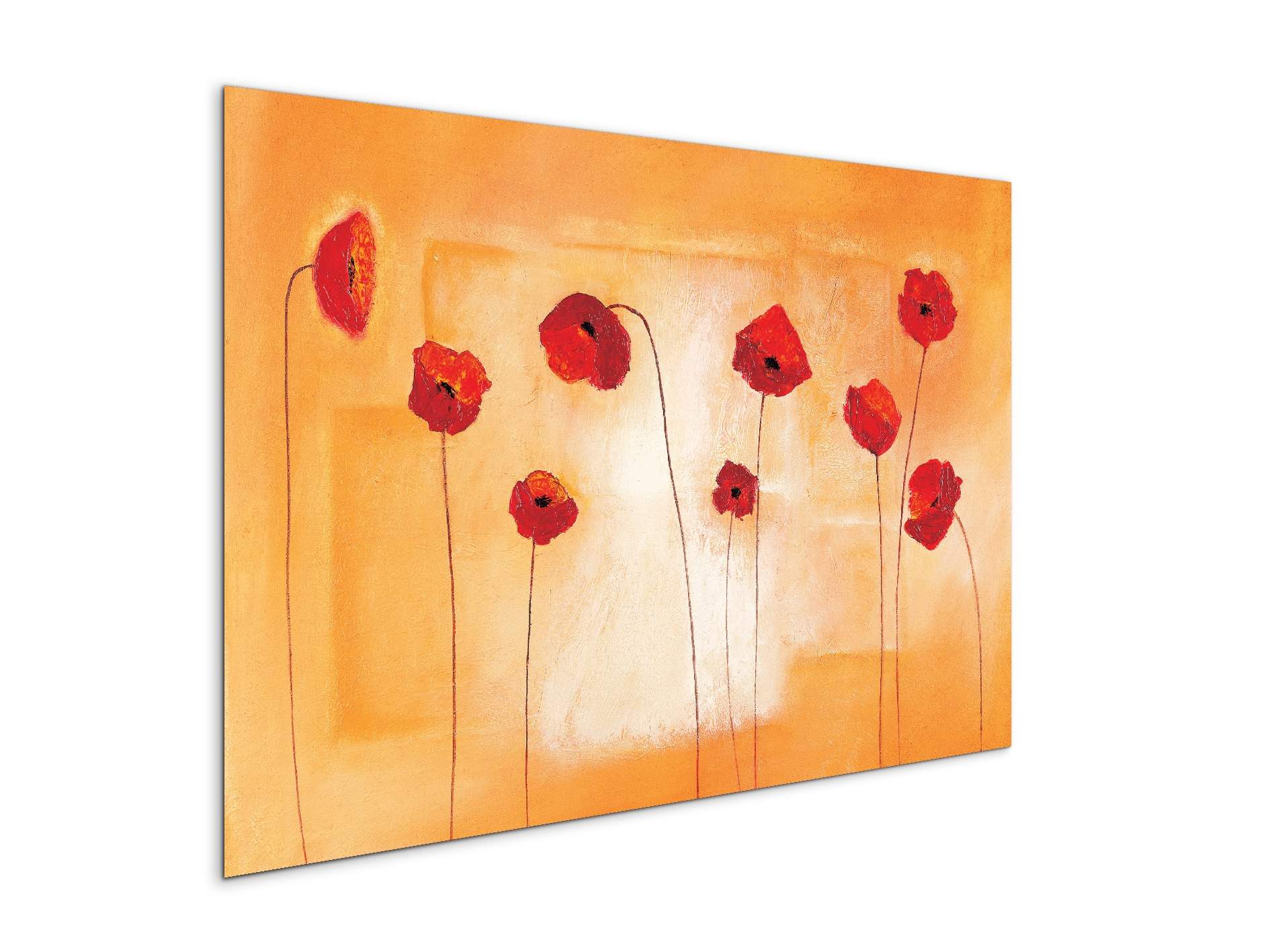 red-poppies-ivec20434-