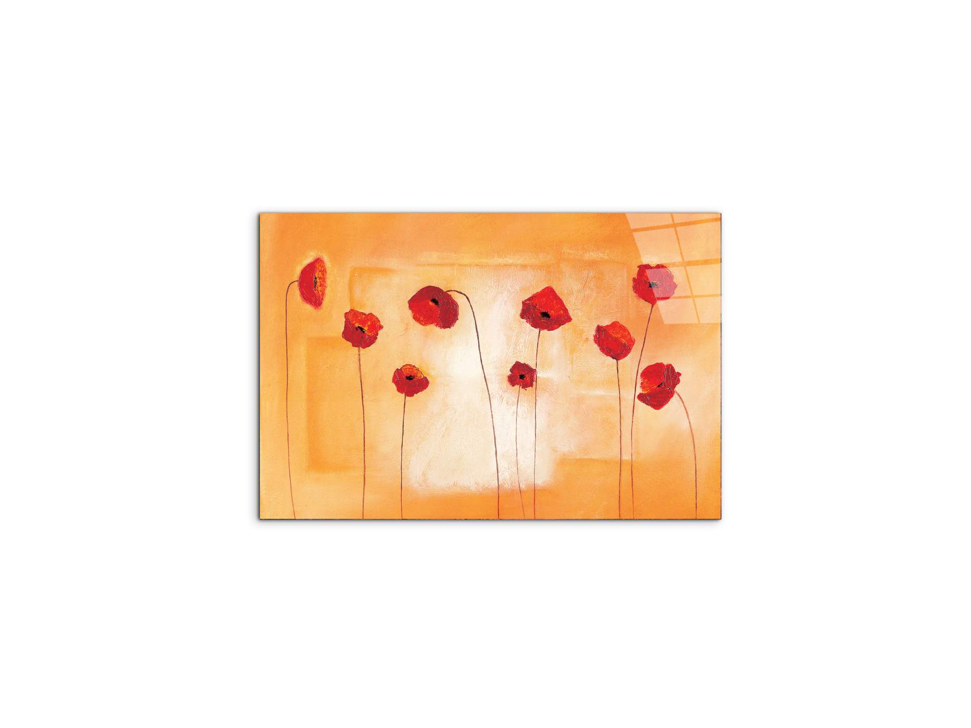 red-poppies-ivec20434-