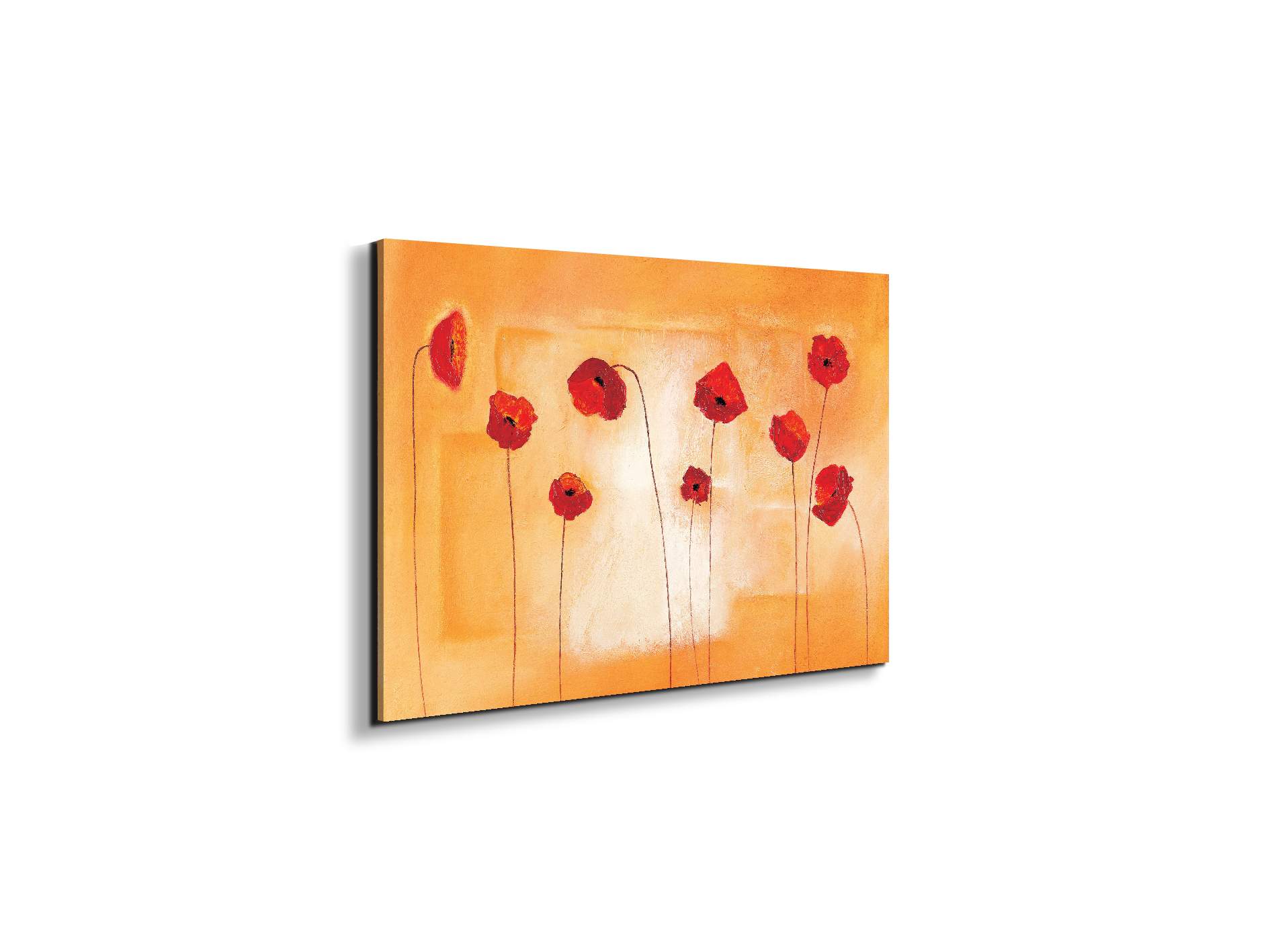 red-poppies-ivec20434-