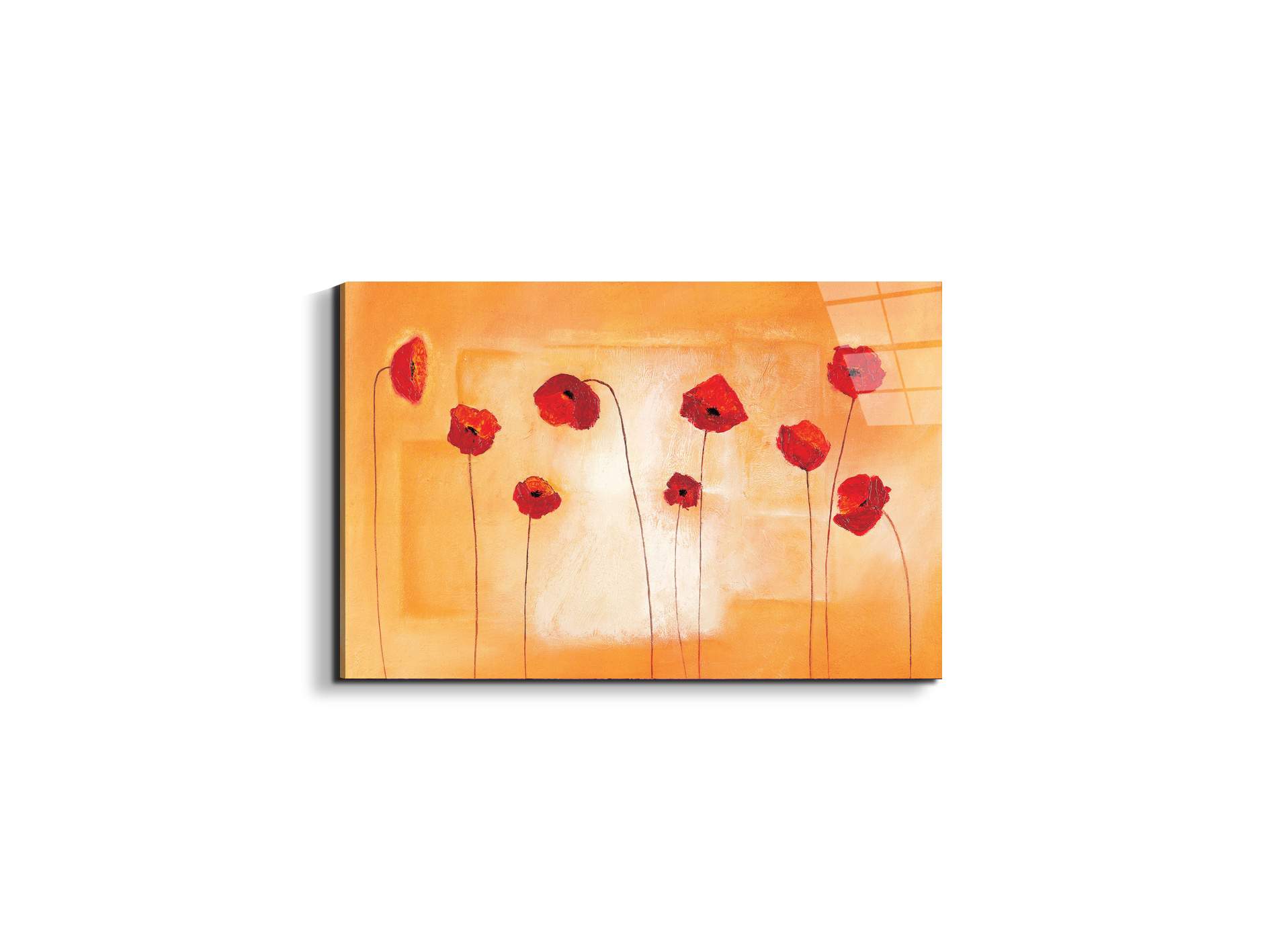 red-poppies-ivec20434-