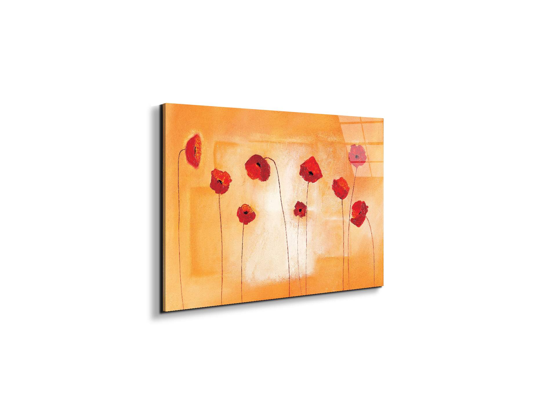 red-poppies-ivec20434-