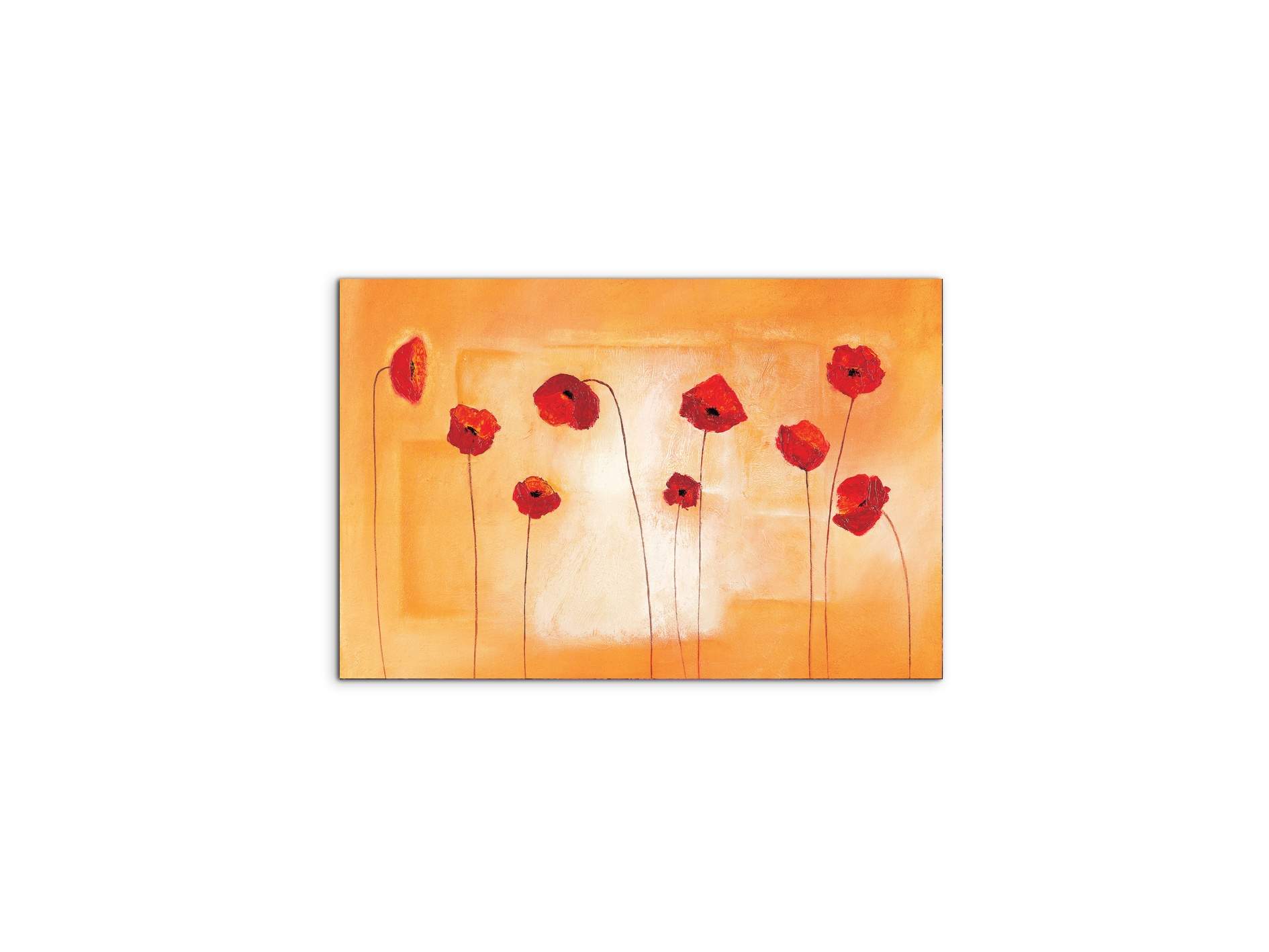 red-poppies-ivec20434-