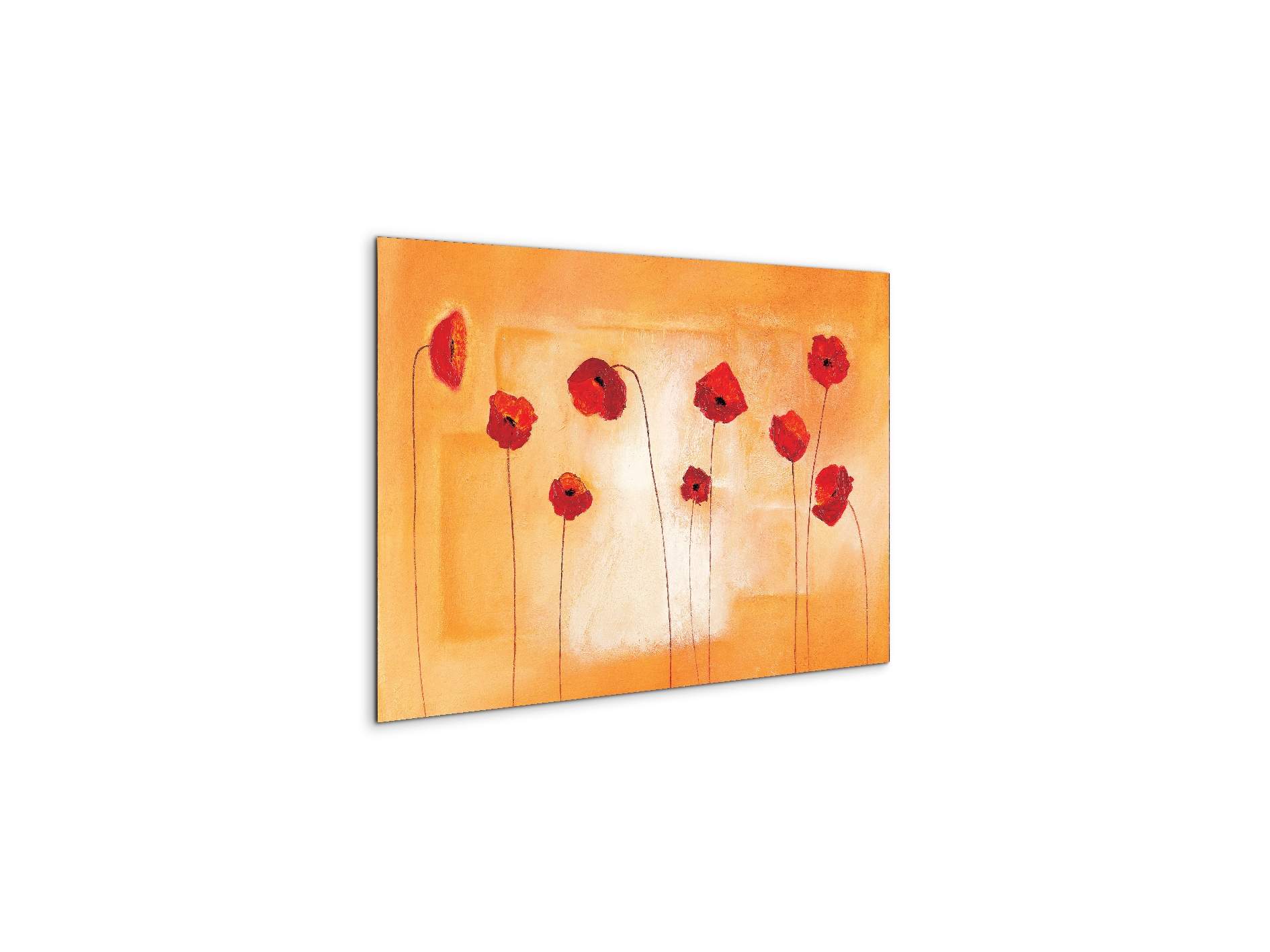 red-poppies-ivec20434-