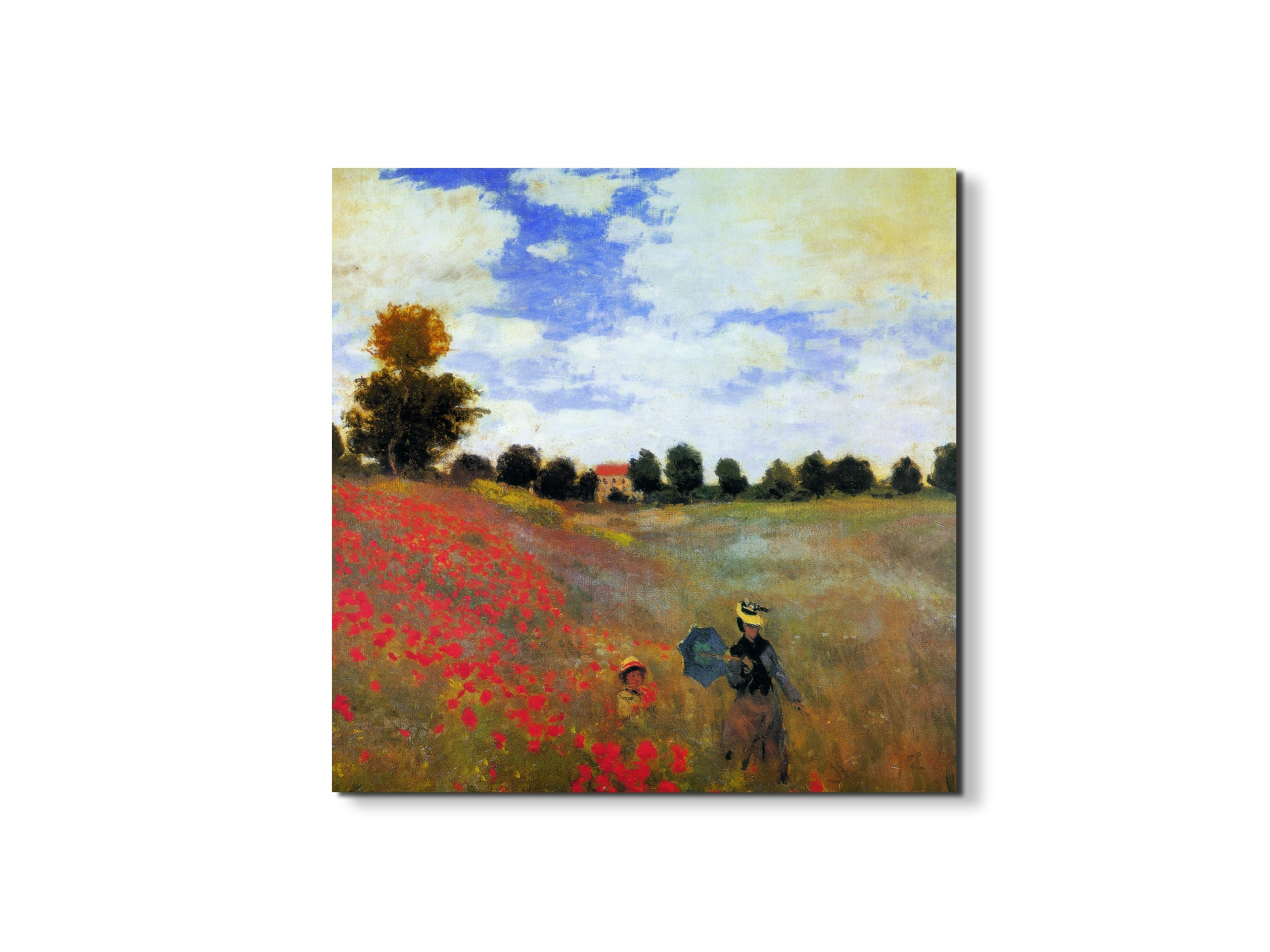 homage-to-monet-poppy-fieldec20867-
