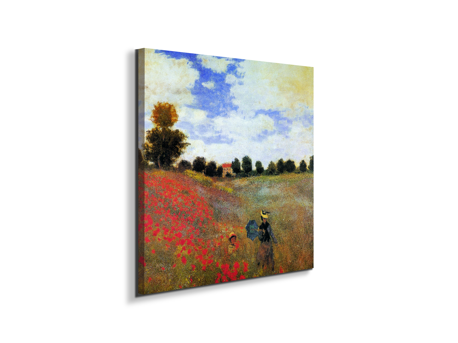 homage-to-monet-poppy-fieldec20867-