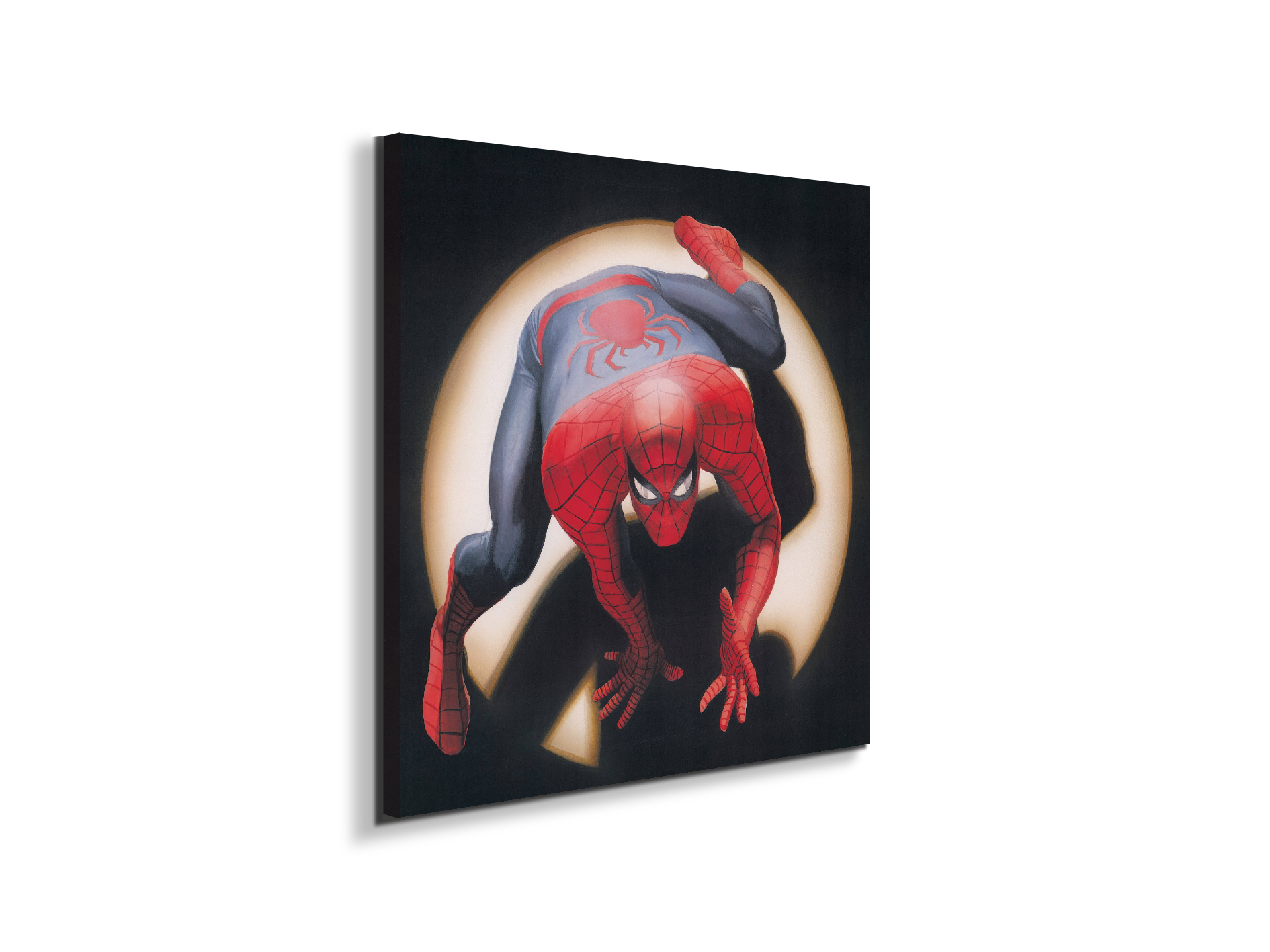 comics-spiderman-heritageec20876-