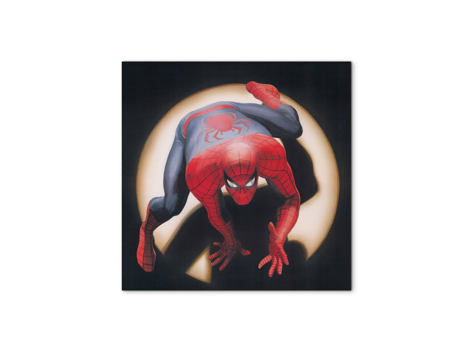 comics-spiderman-heritageec20876-