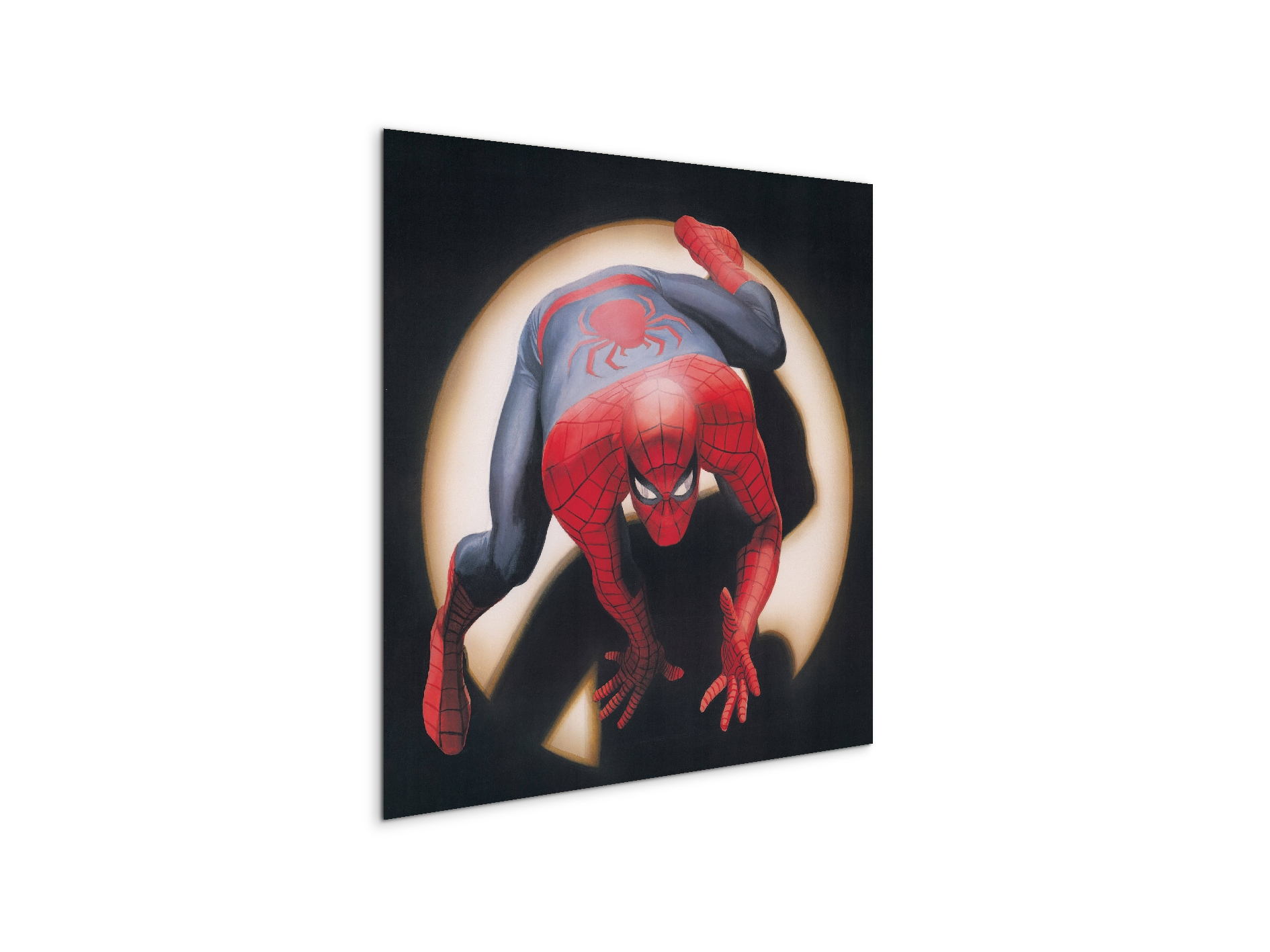comics-spiderman-heritageec20876-