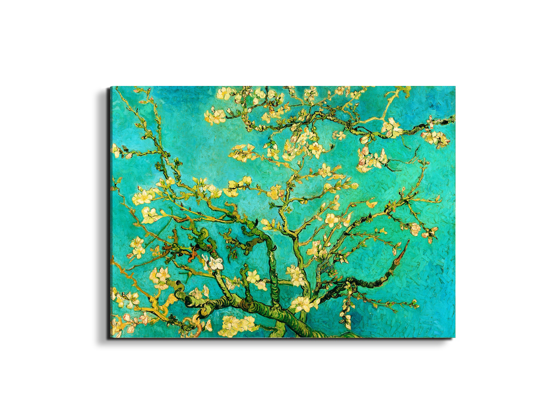 homage-to-van-gogh-mandorli-in-fiore-a-san-remyec21595-