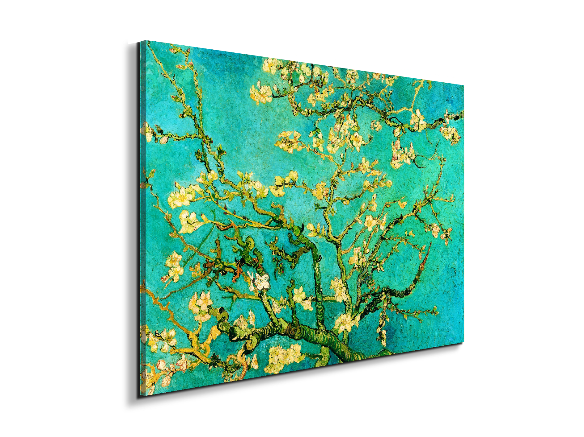 homage-to-van-gogh-mandorli-in-fiore-a-san-remyec21595-
