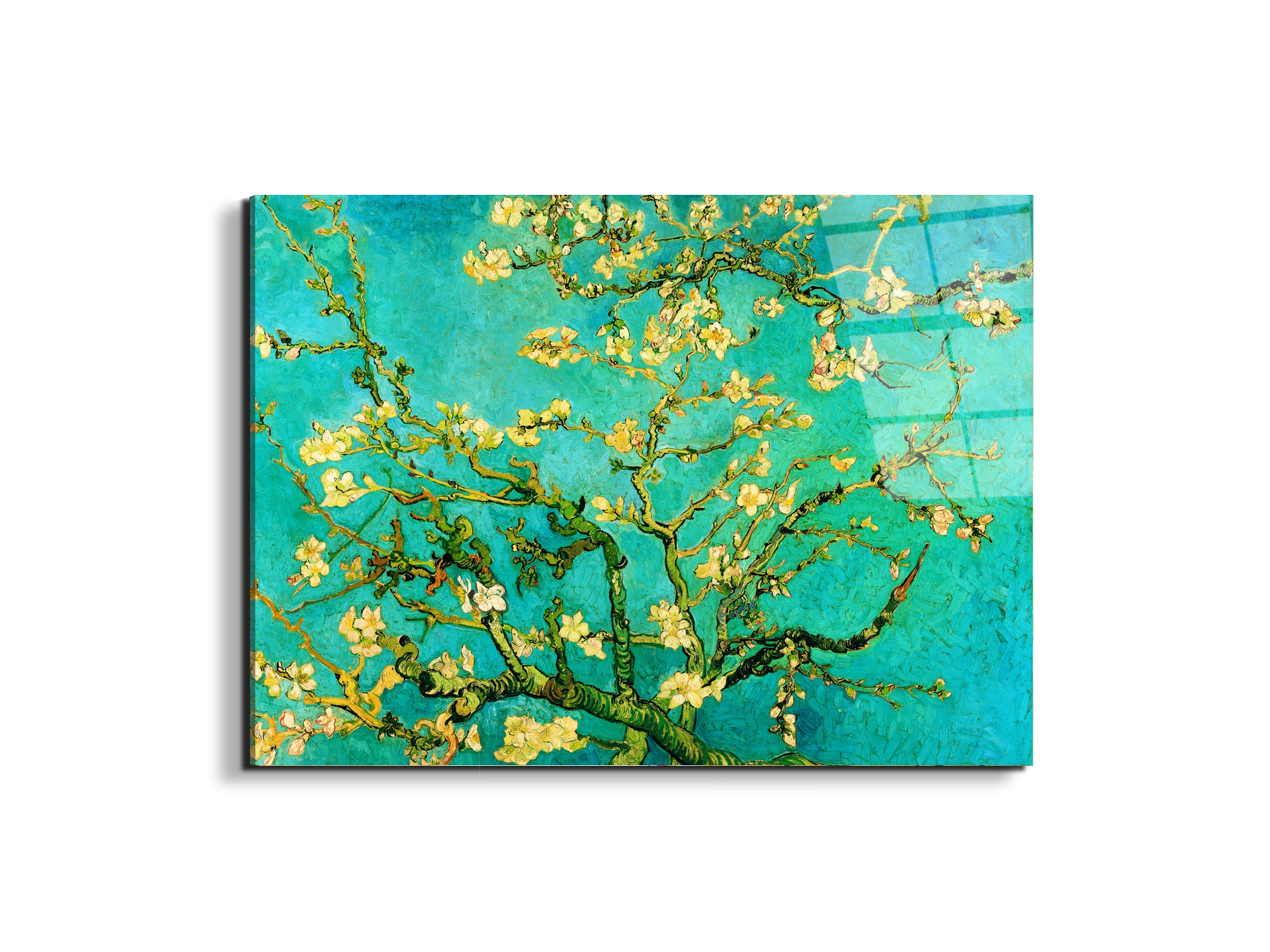 homage-to-van-gogh-mandorli-in-fiore-a-san-remyec21595-