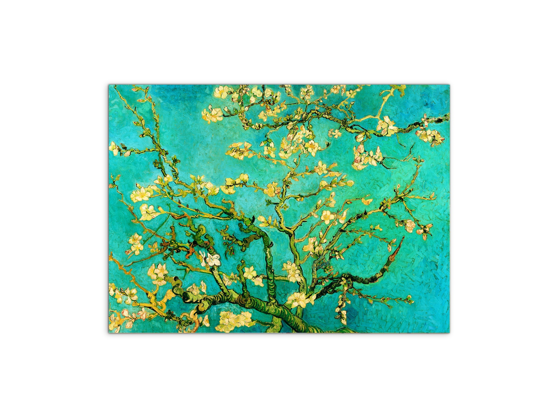 homage-to-van-gogh-mandorli-in-fiore-a-san-remyec21595-