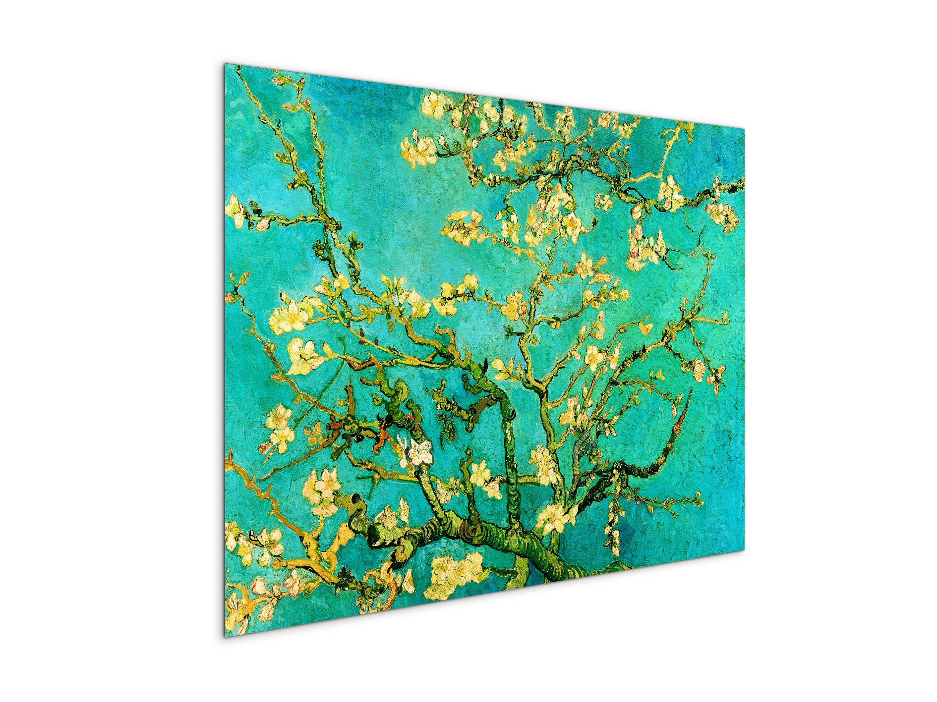 homage-to-van-gogh-mandorli-in-fiore-a-san-remyec21595-
