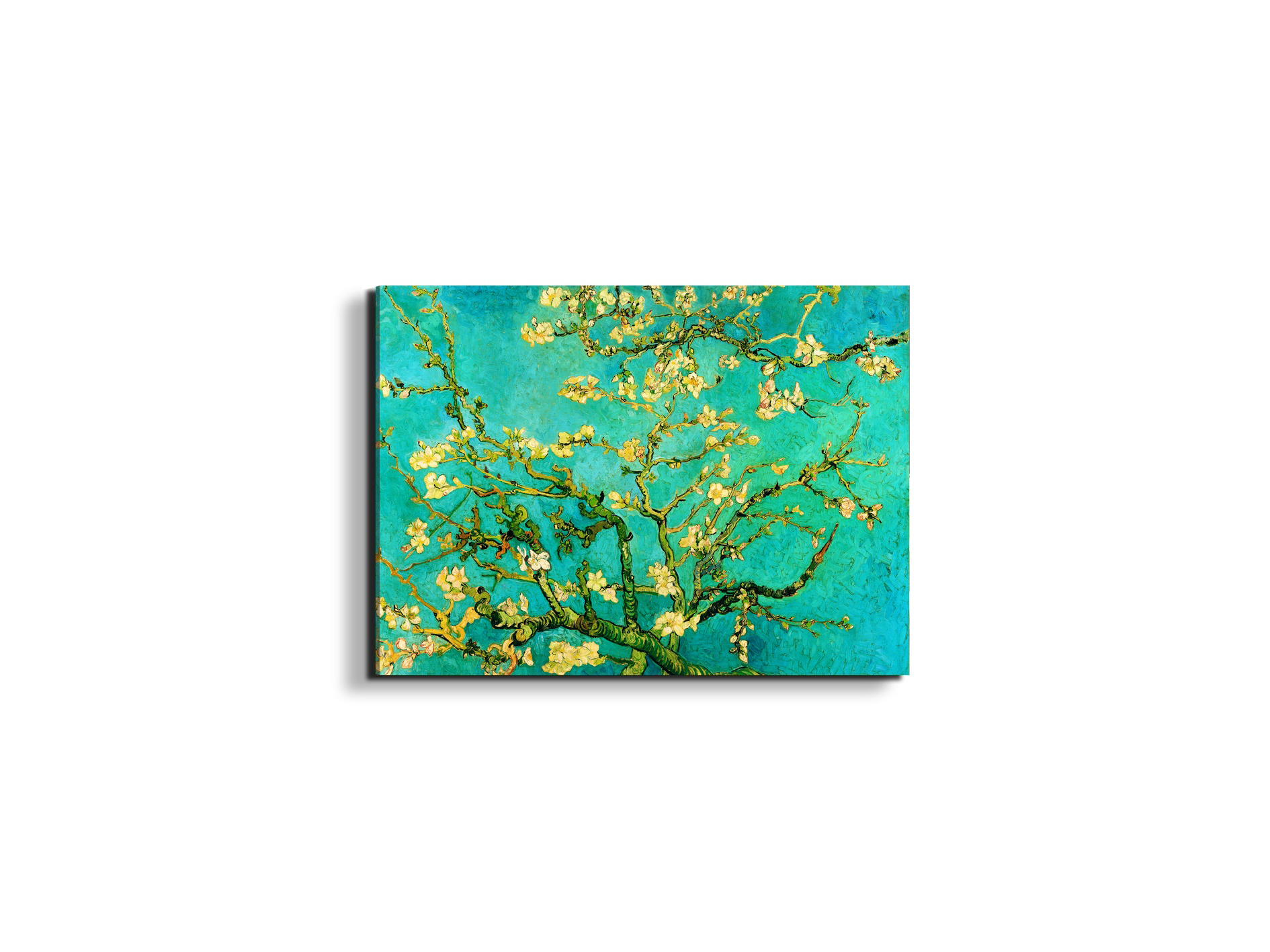 homage-to-van-gogh-mandorli-in-fiore-a-san-remyec21595-