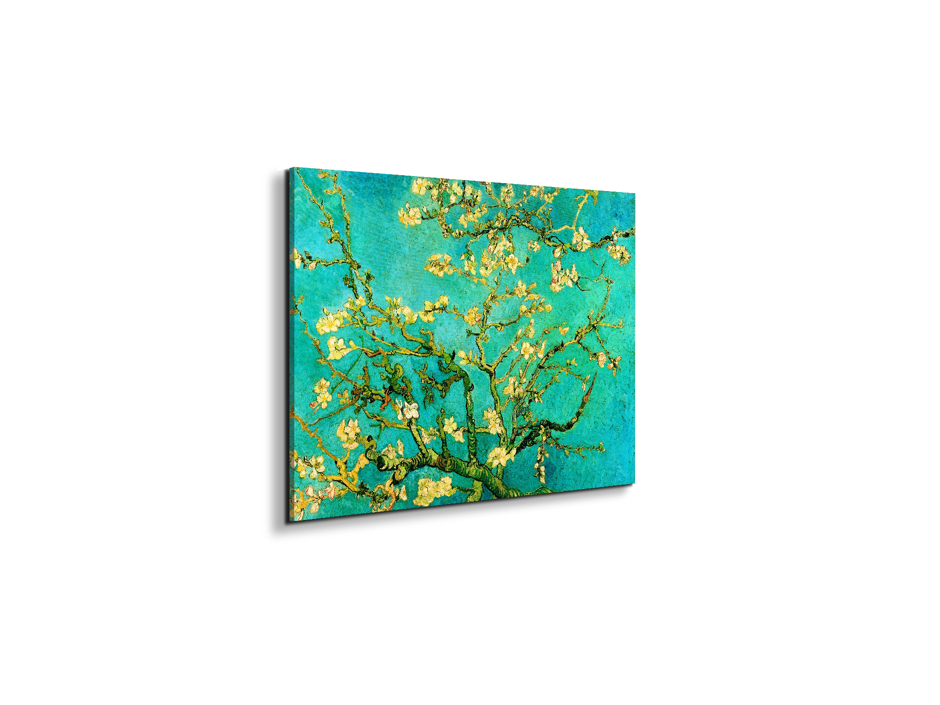 homage-to-van-gogh-mandorli-in-fiore-a-san-remyec21595-
