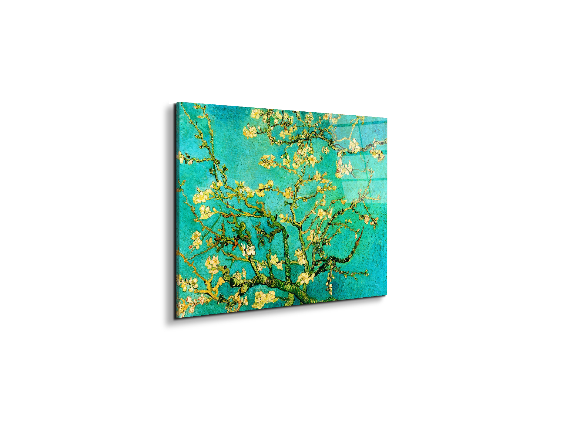 homage-to-van-gogh-mandorli-in-fiore-a-san-remyec21595-