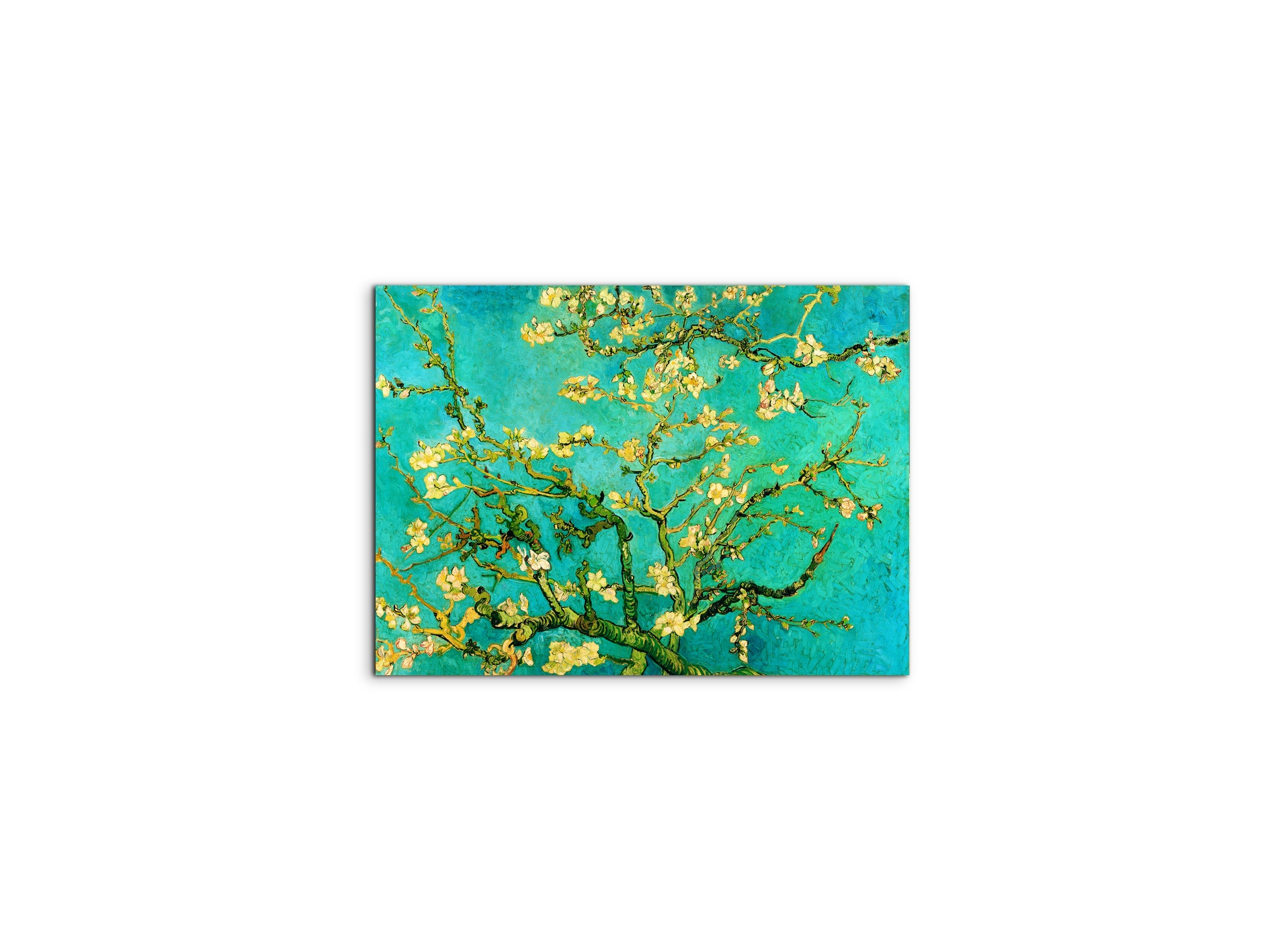 homage-to-van-gogh-mandorli-in-fiore-a-san-remyec21595-