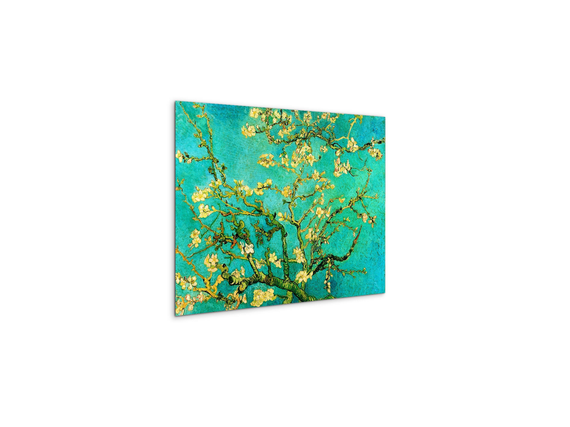 homage-to-van-gogh-mandorli-in-fiore-a-san-remyec21595-