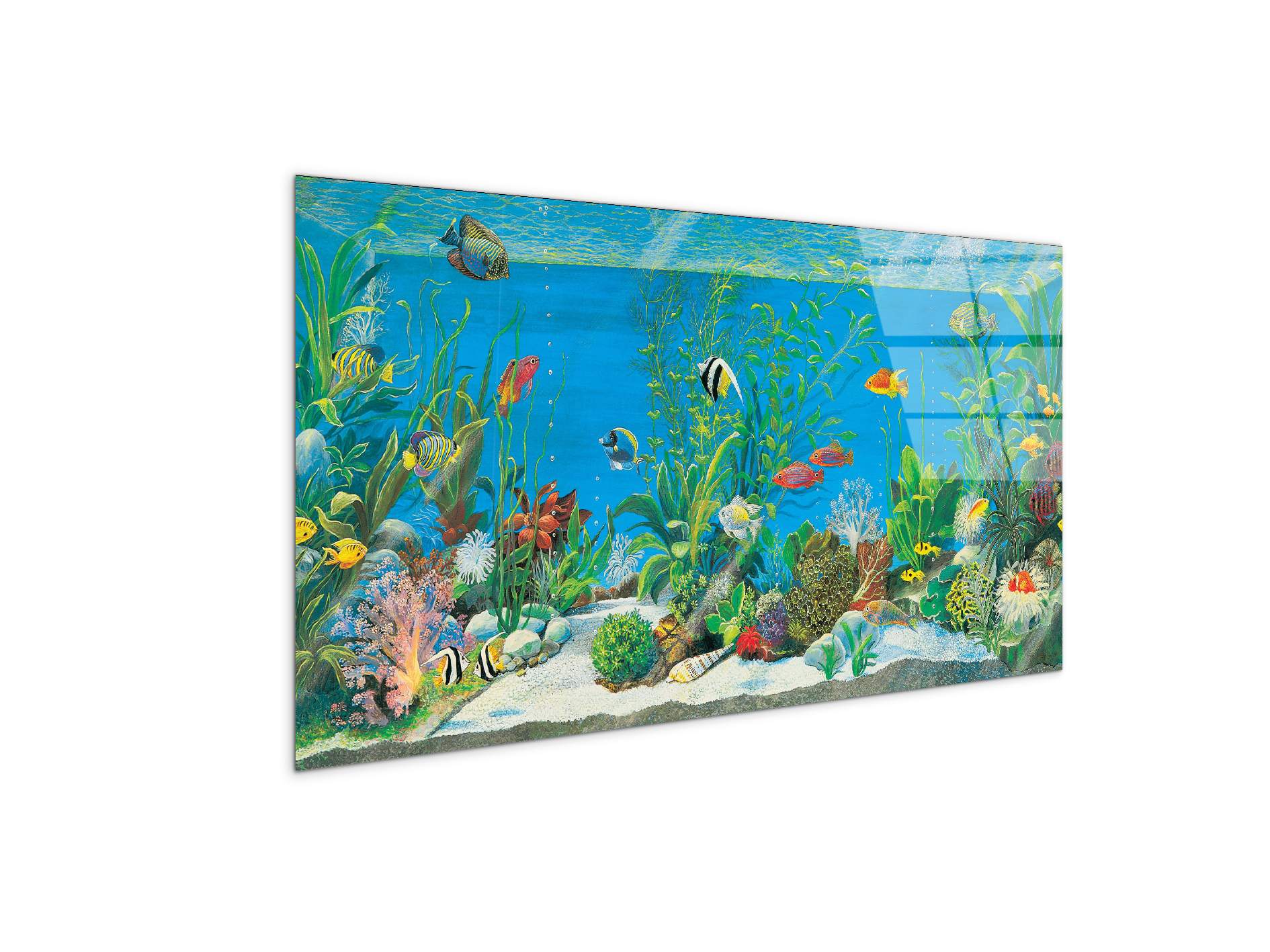 aquariumec21639-