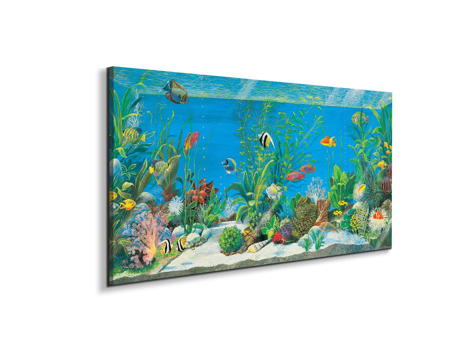 aquariumec21639-