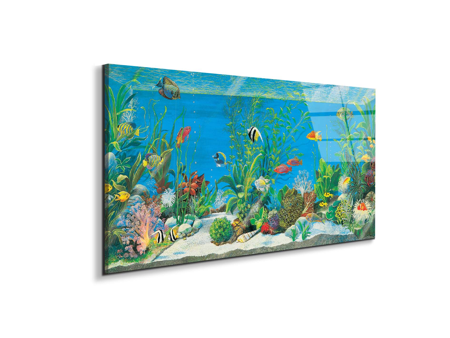 aquariumec21639-