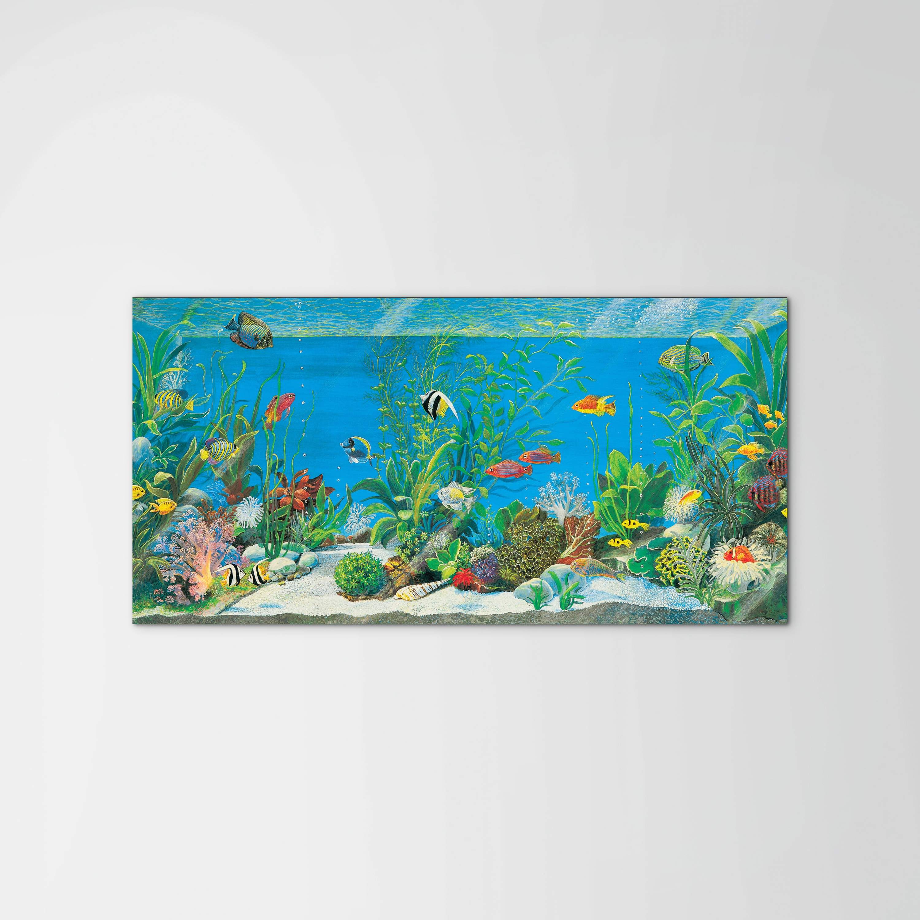 aquariumec21639-