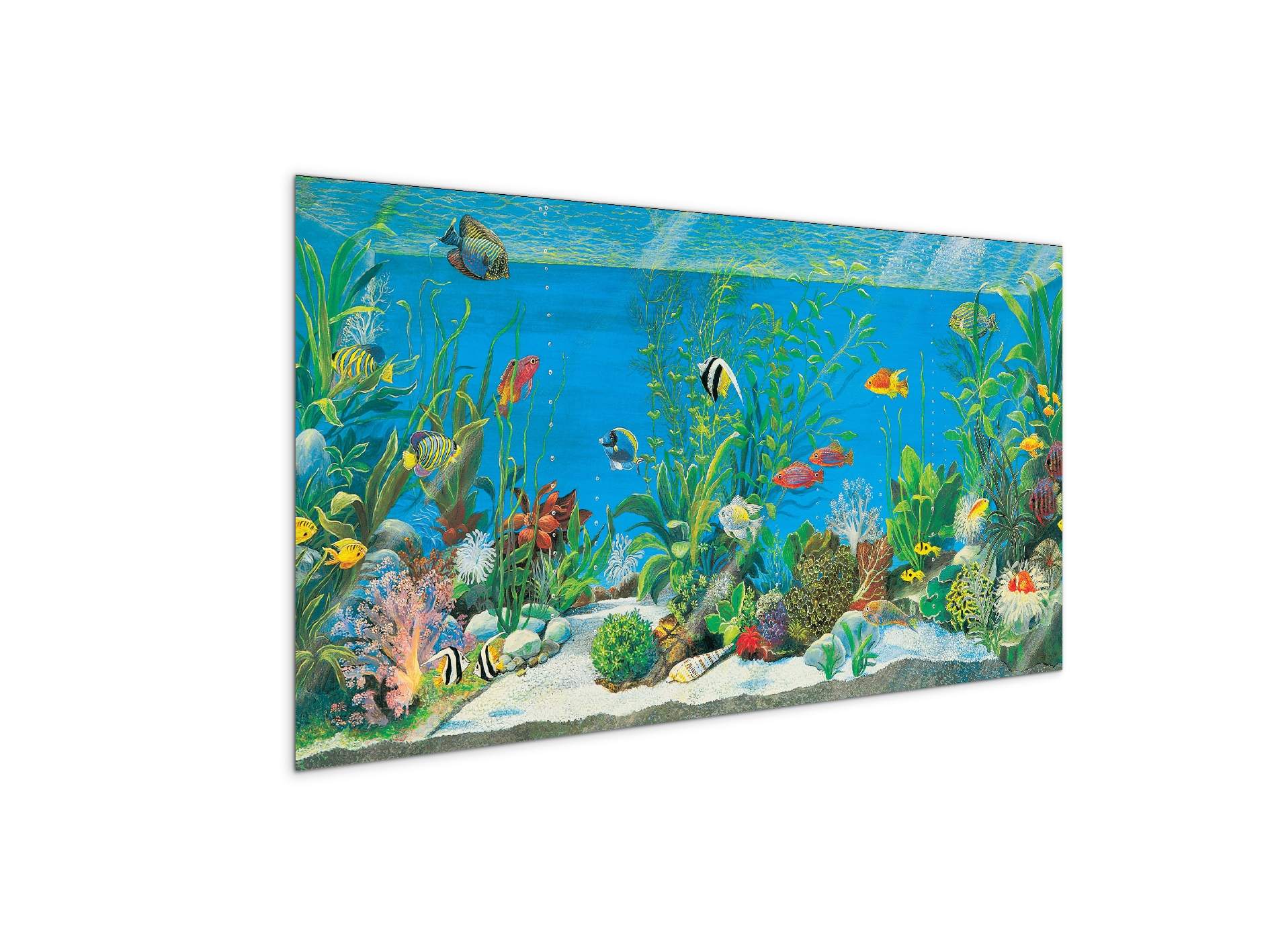 aquariumec21639-