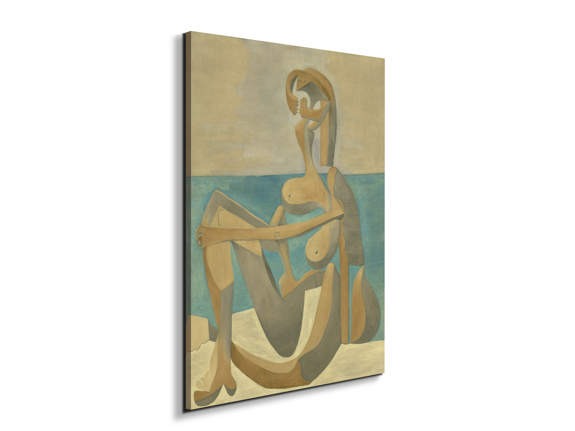 homage-to-pablo-vec21719-