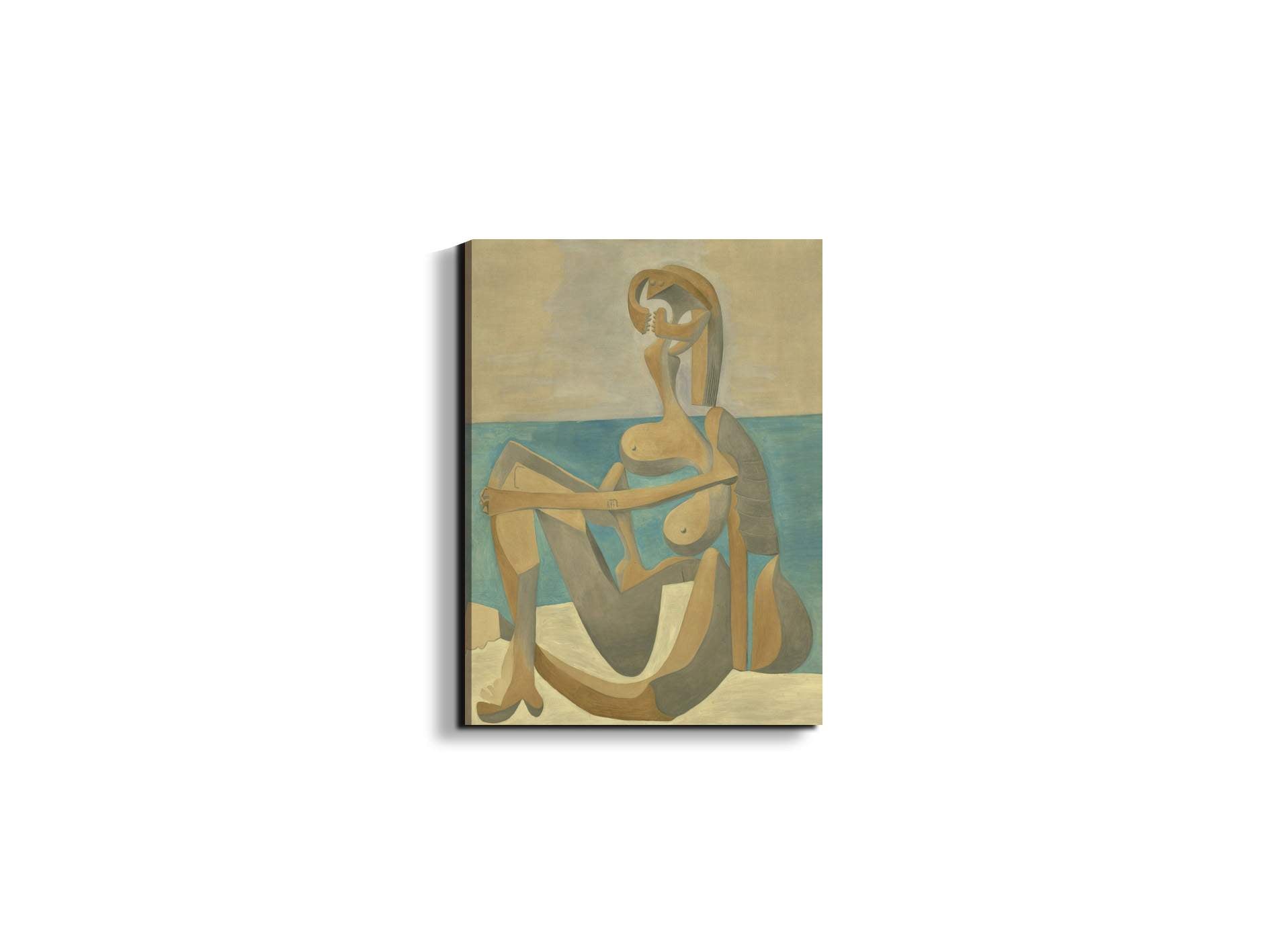 homage-to-pablo-vec21719-