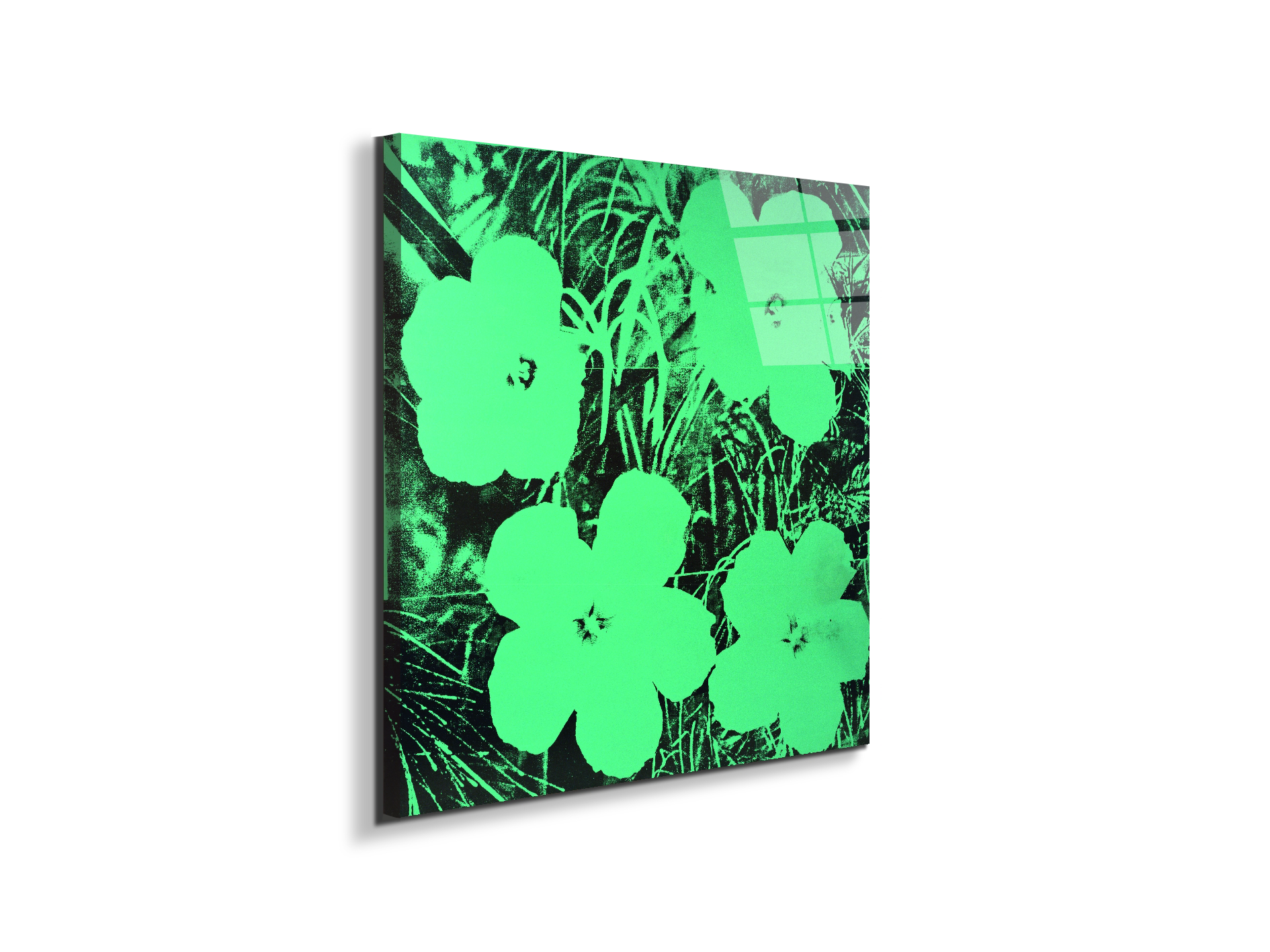 homage-to-andy-ten-foot-flowersec21763-