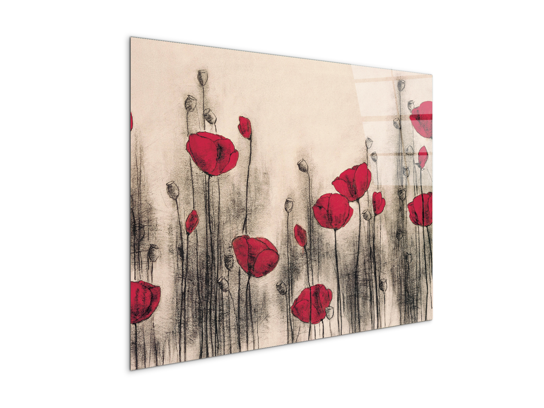 poppies-gardenec21768-