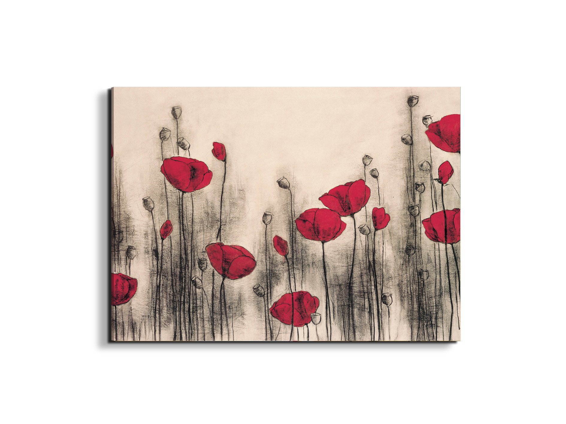 poppies-gardenec21768-